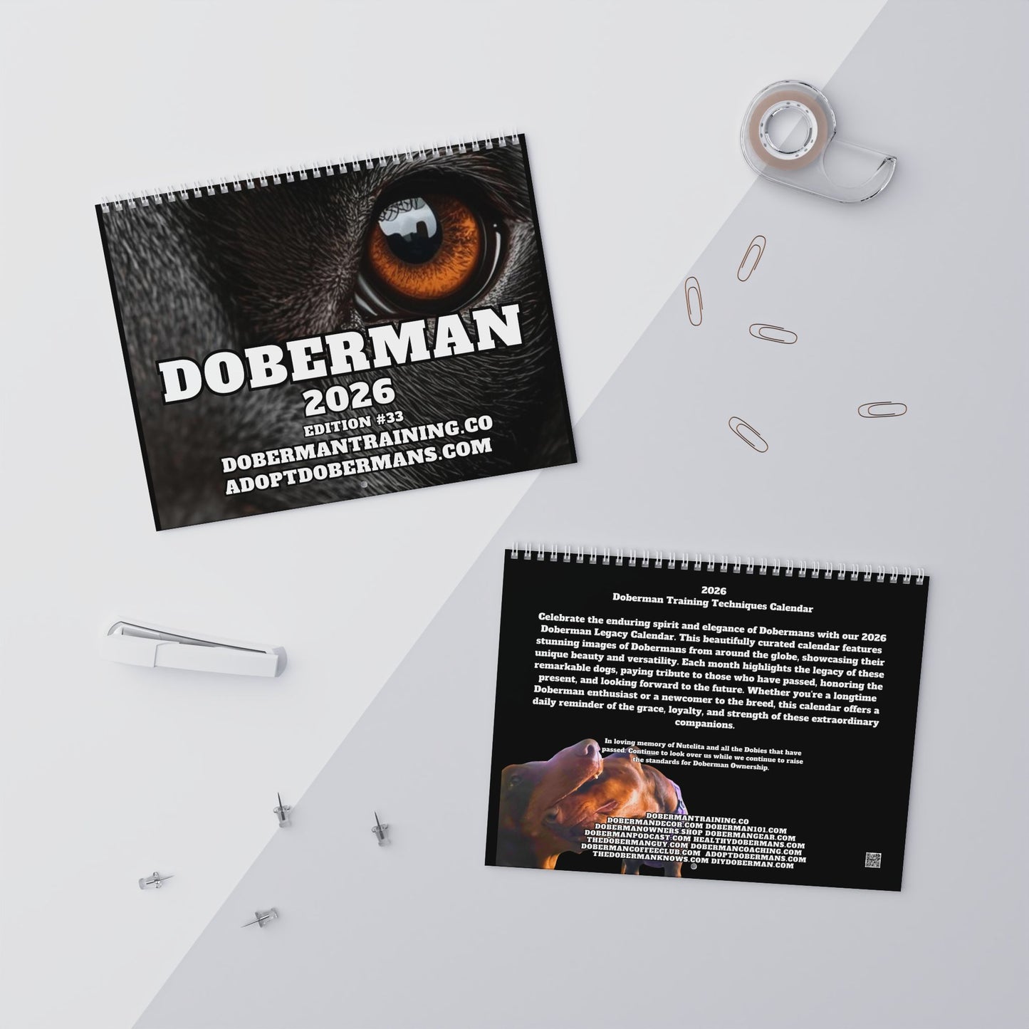 Edition 33 2026 Doberman Calendars