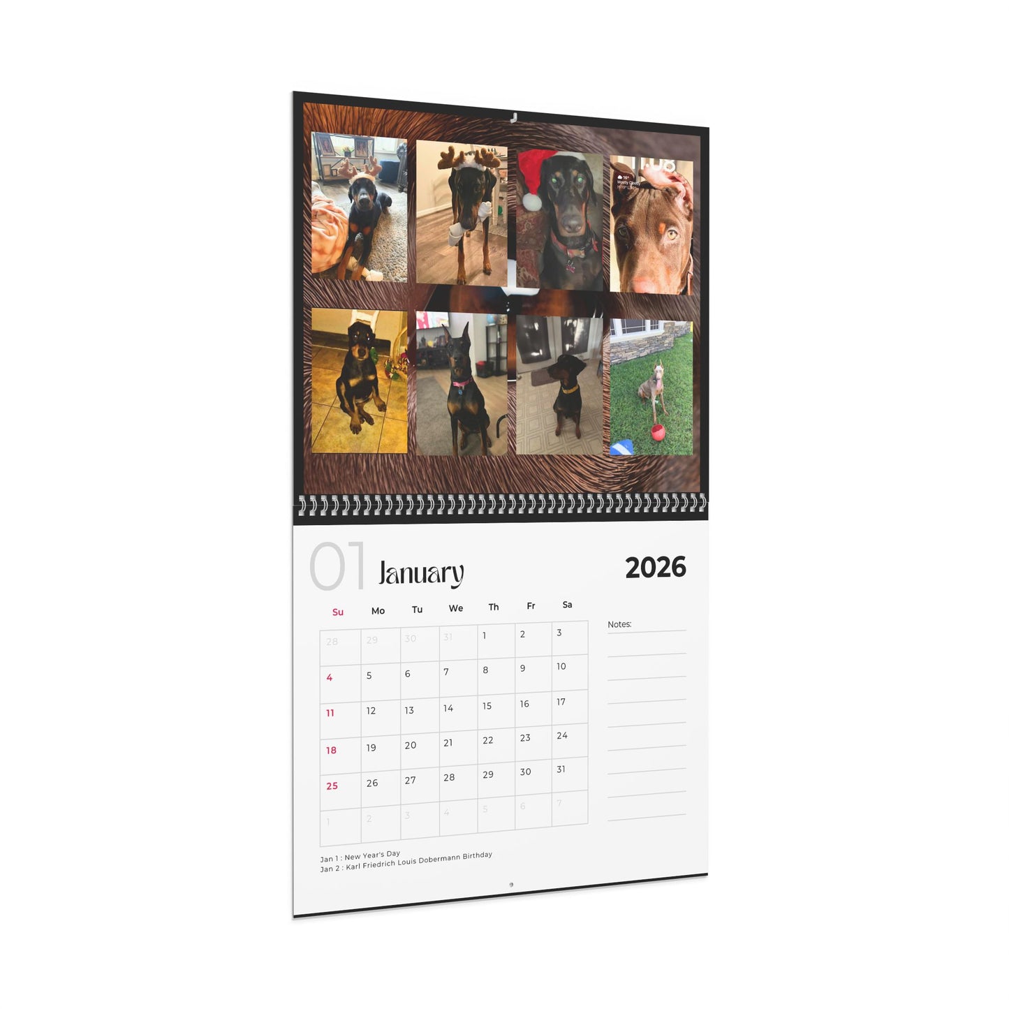 Edition 12 2026 Doberman Calendars