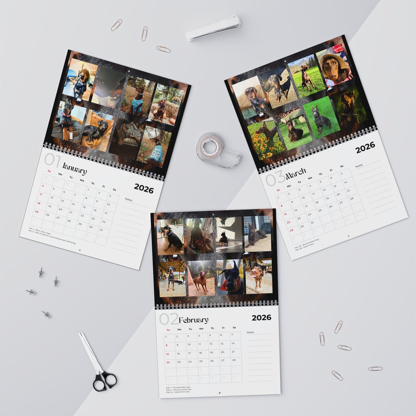 Edition 14 2026 Doberman Calendars