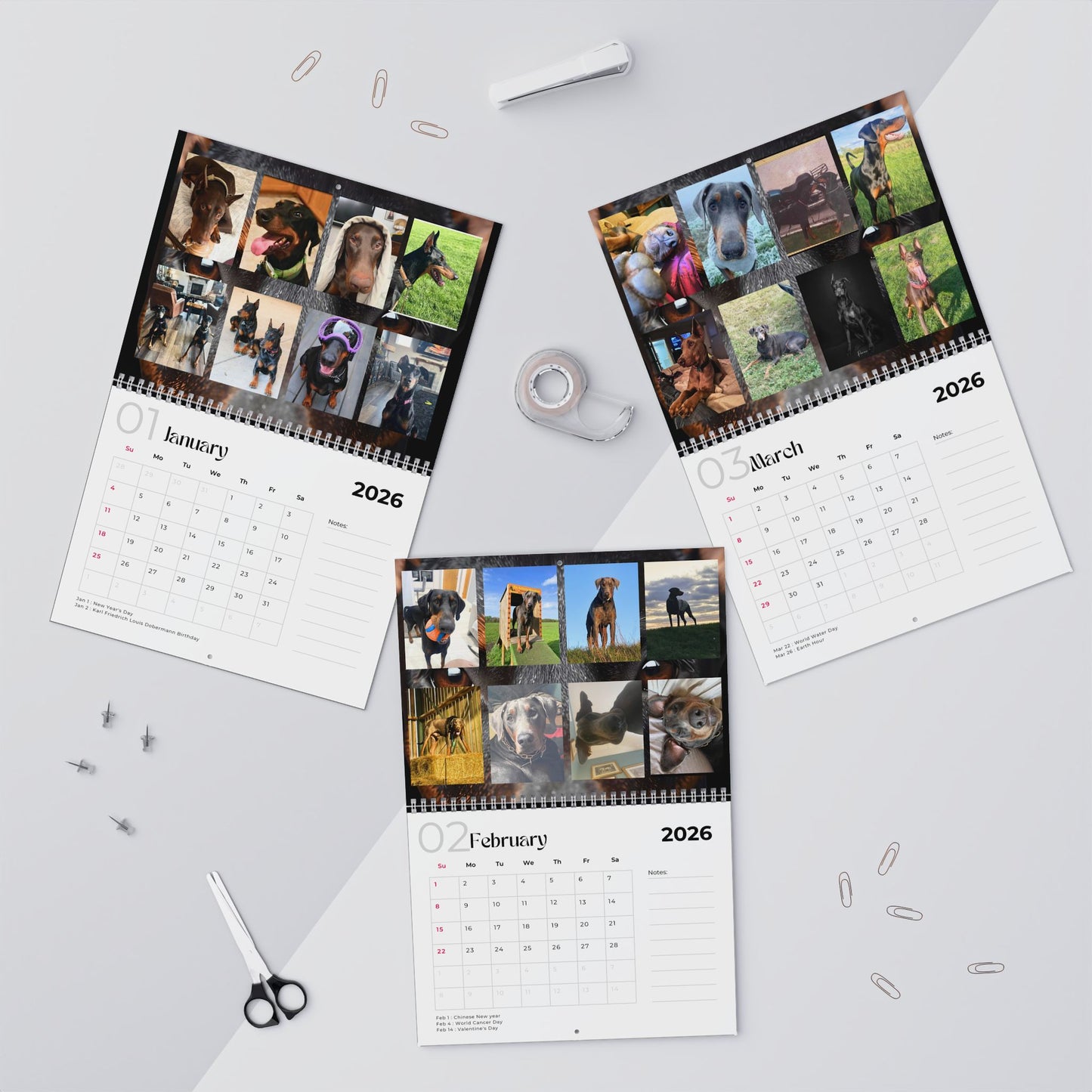 Edition 13 2026 Doberman Calendars