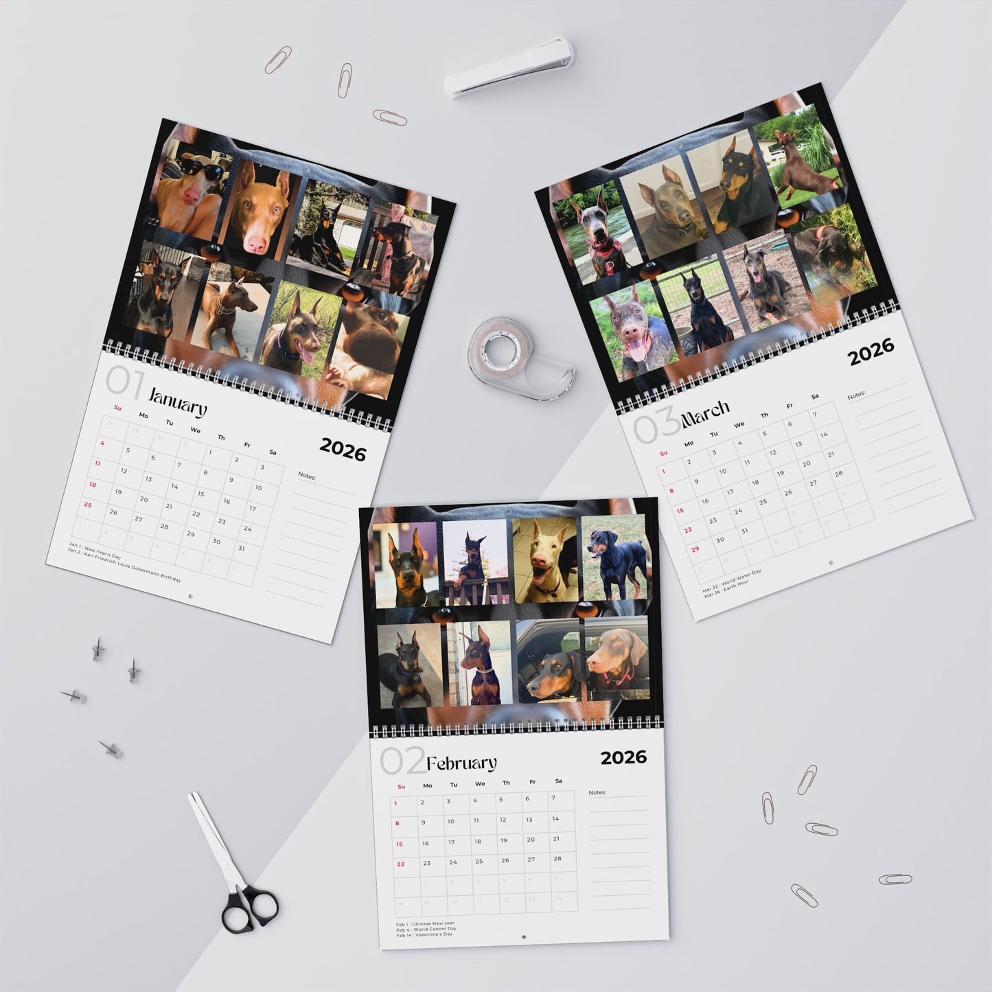 Edition 2 2026 Doberman Calendars