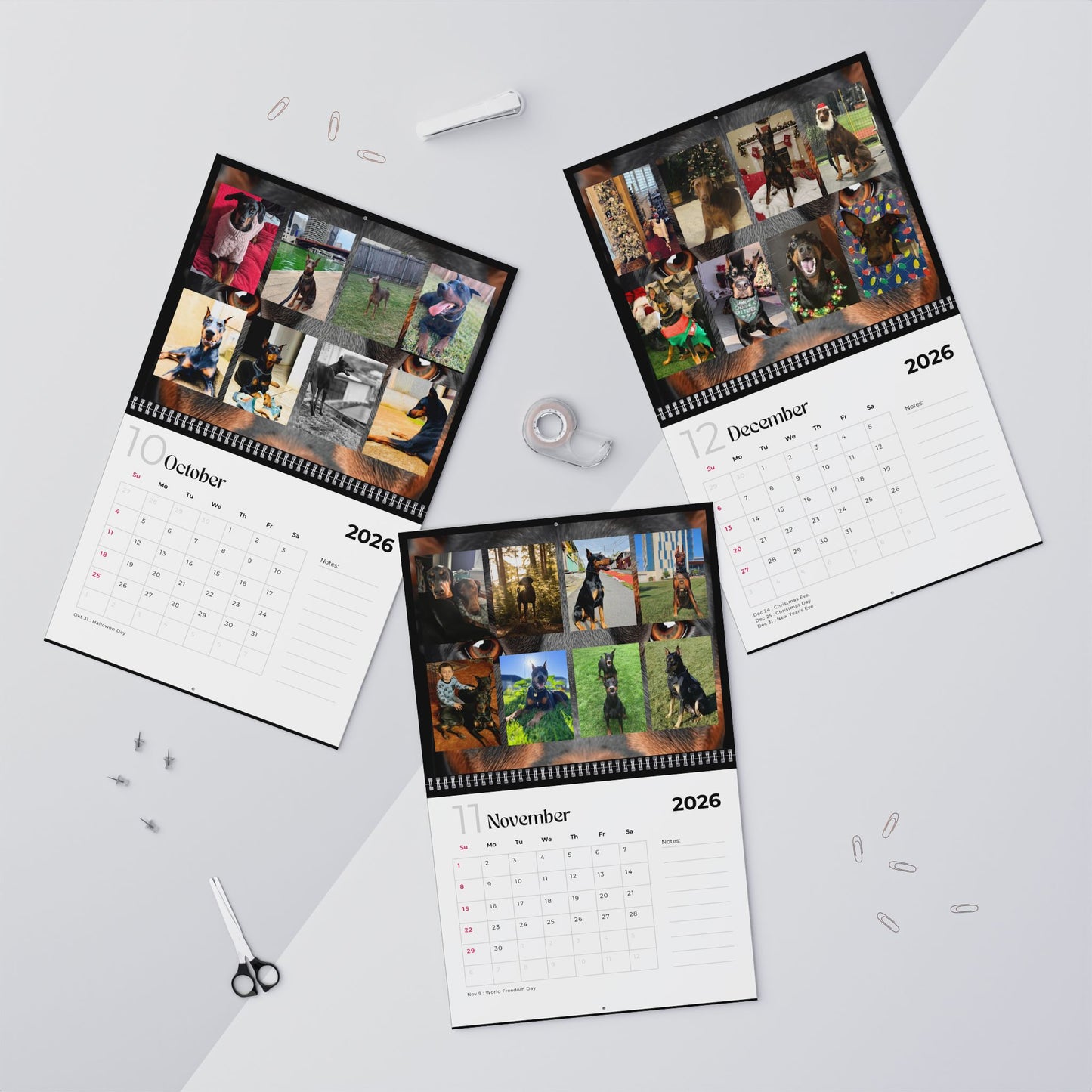 Edition 28 2026 Doberman Calendars