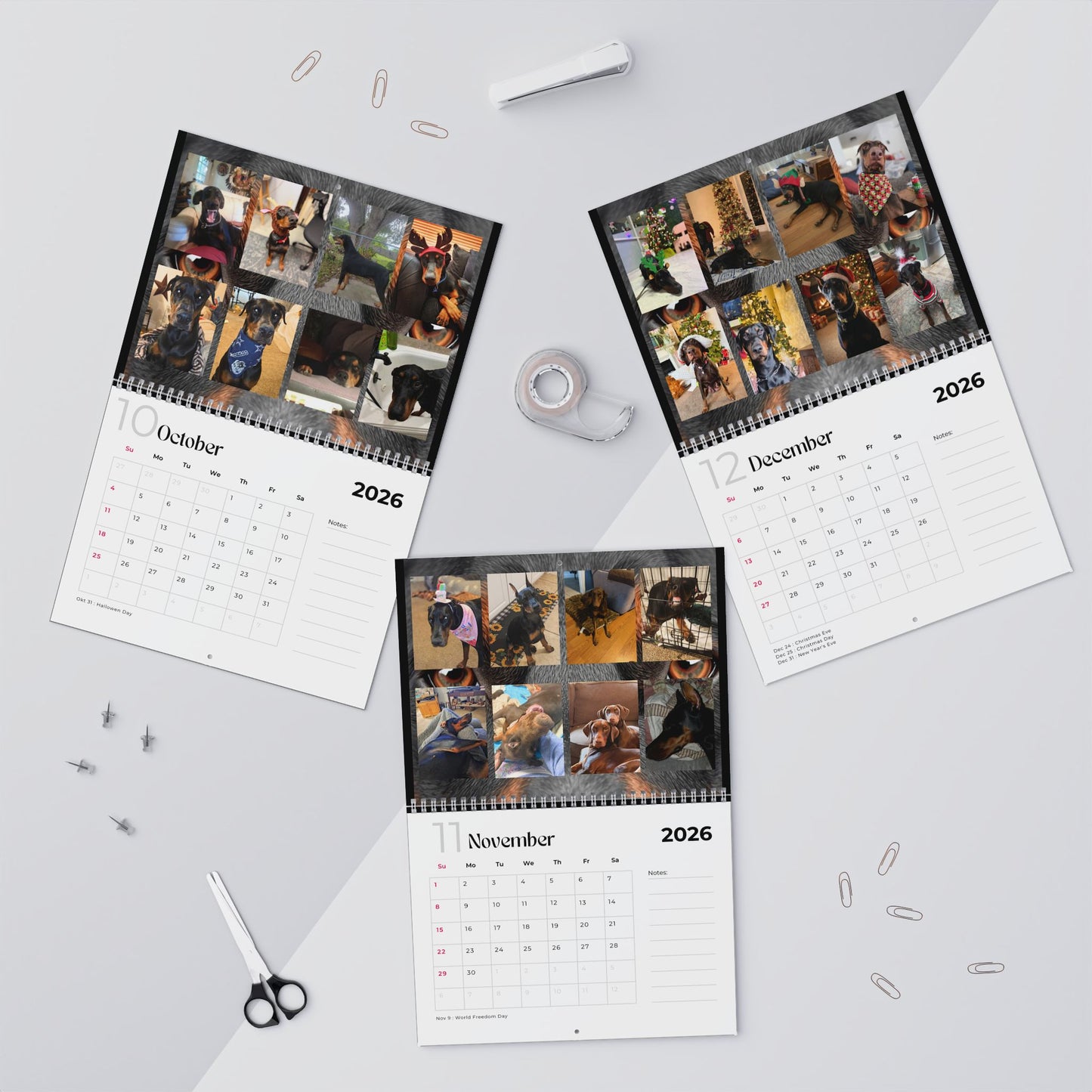 Edition 30 2026 Doberman Calendars