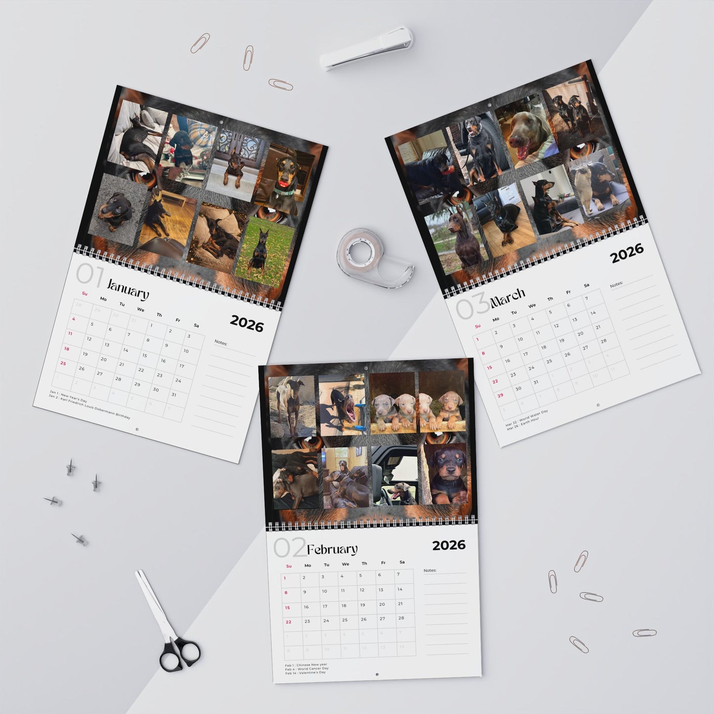 Edition 28 2026 Doberman Calendars