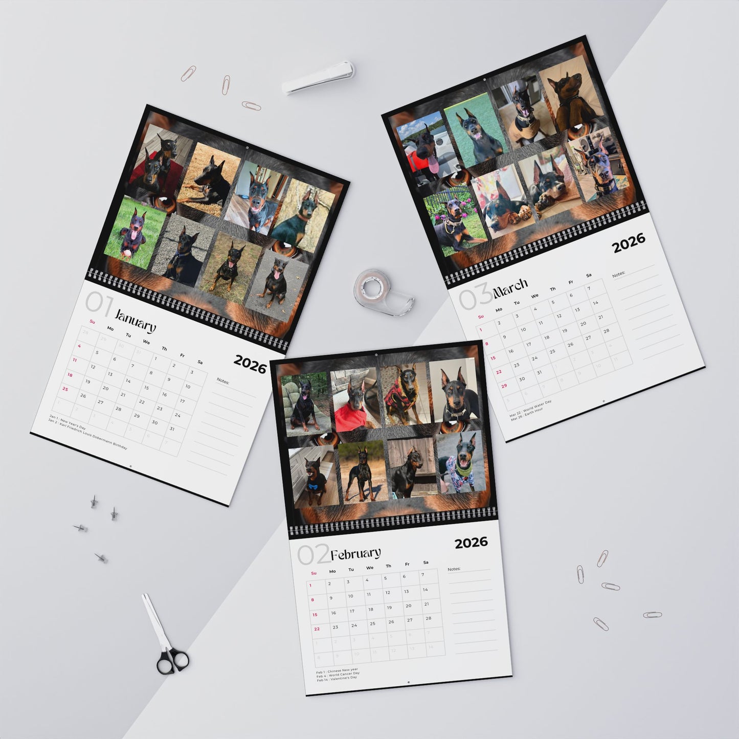 Edition 26 2026 Doberman Calendars