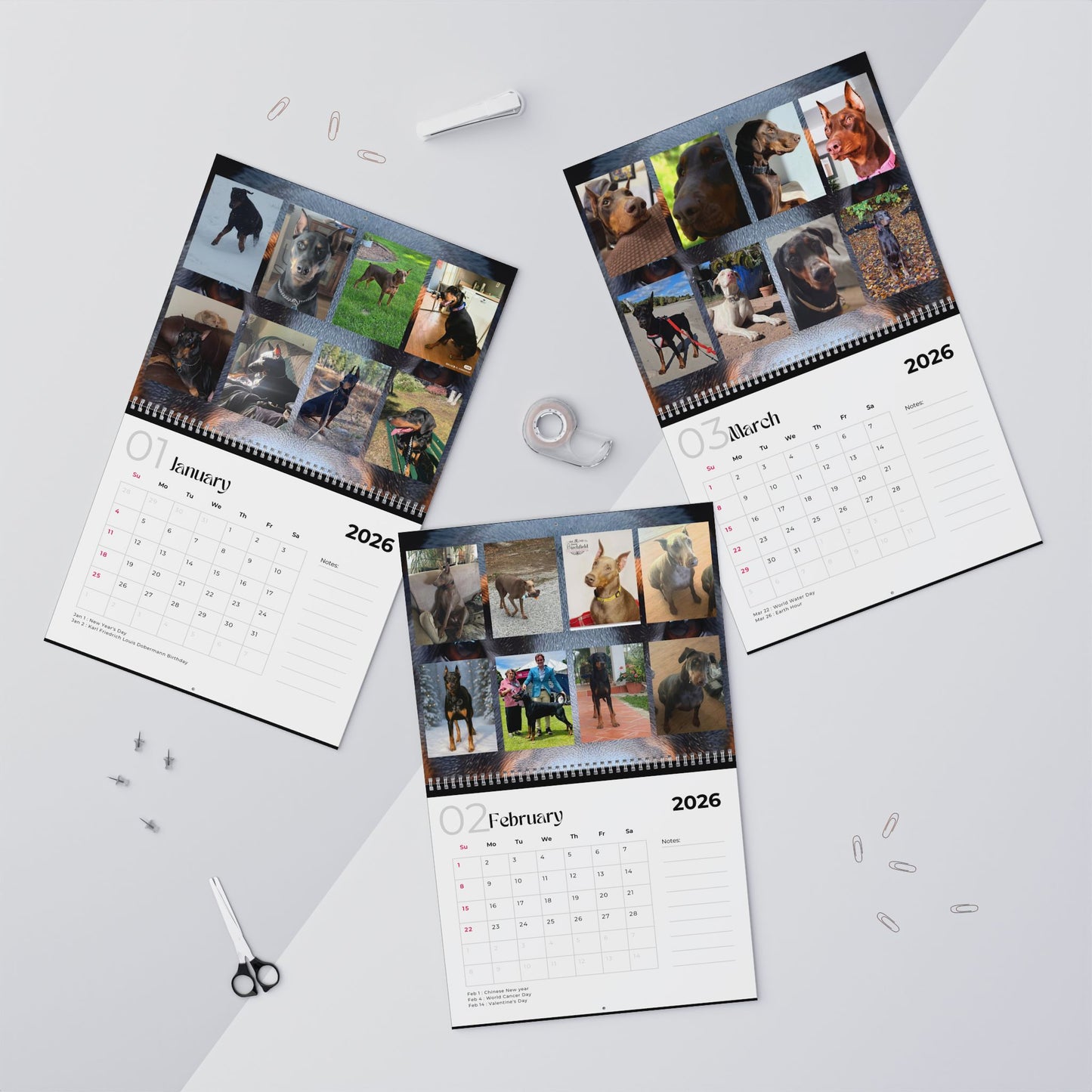 Edition 21 2026 Doberman Calendars