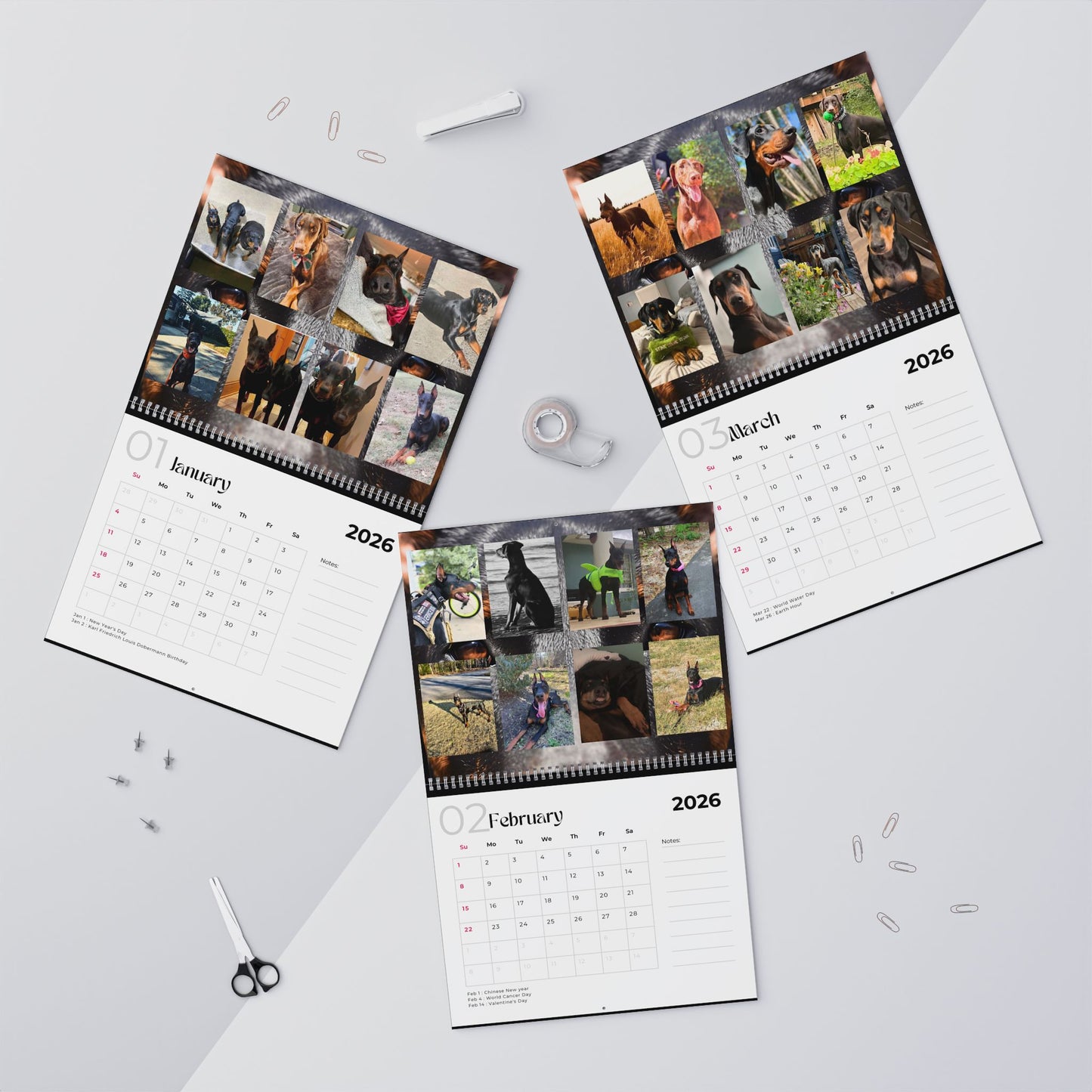 Edition 16 2026 Doberman Calendars