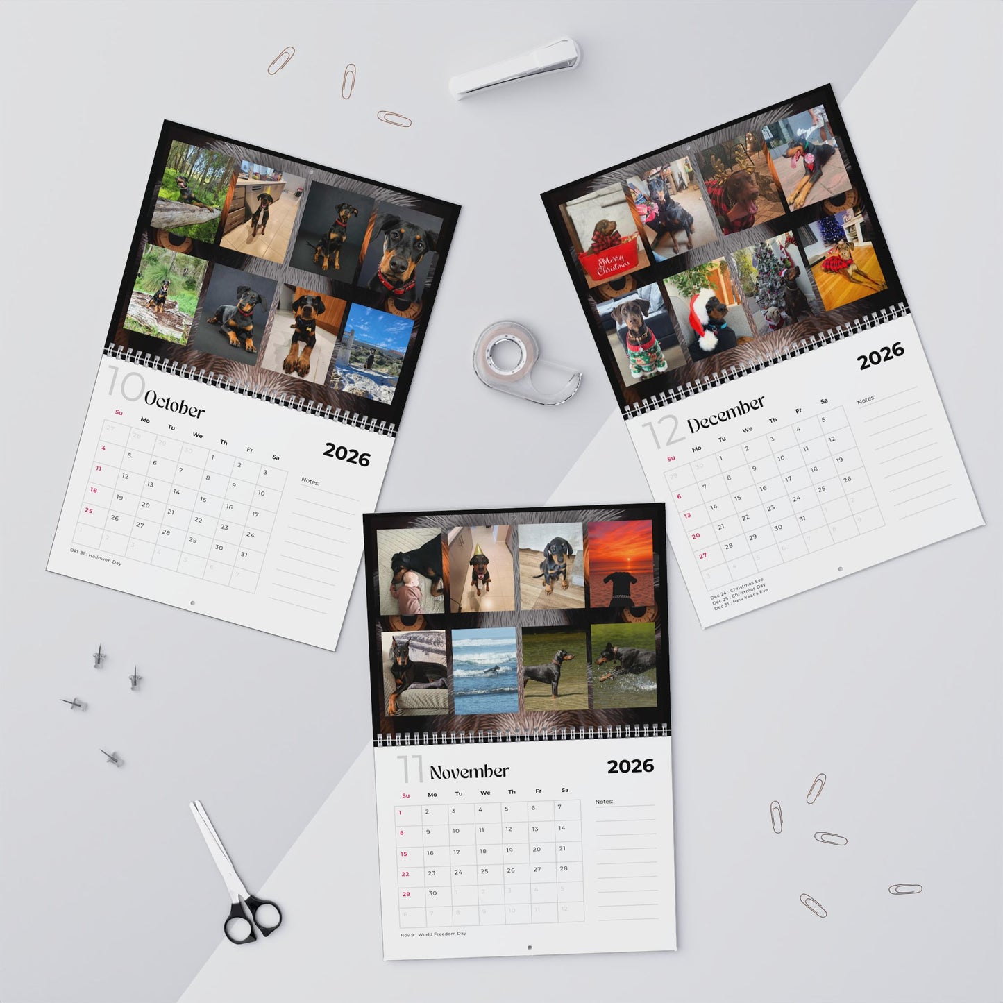 Edition 34 2026 Doberman Calendars