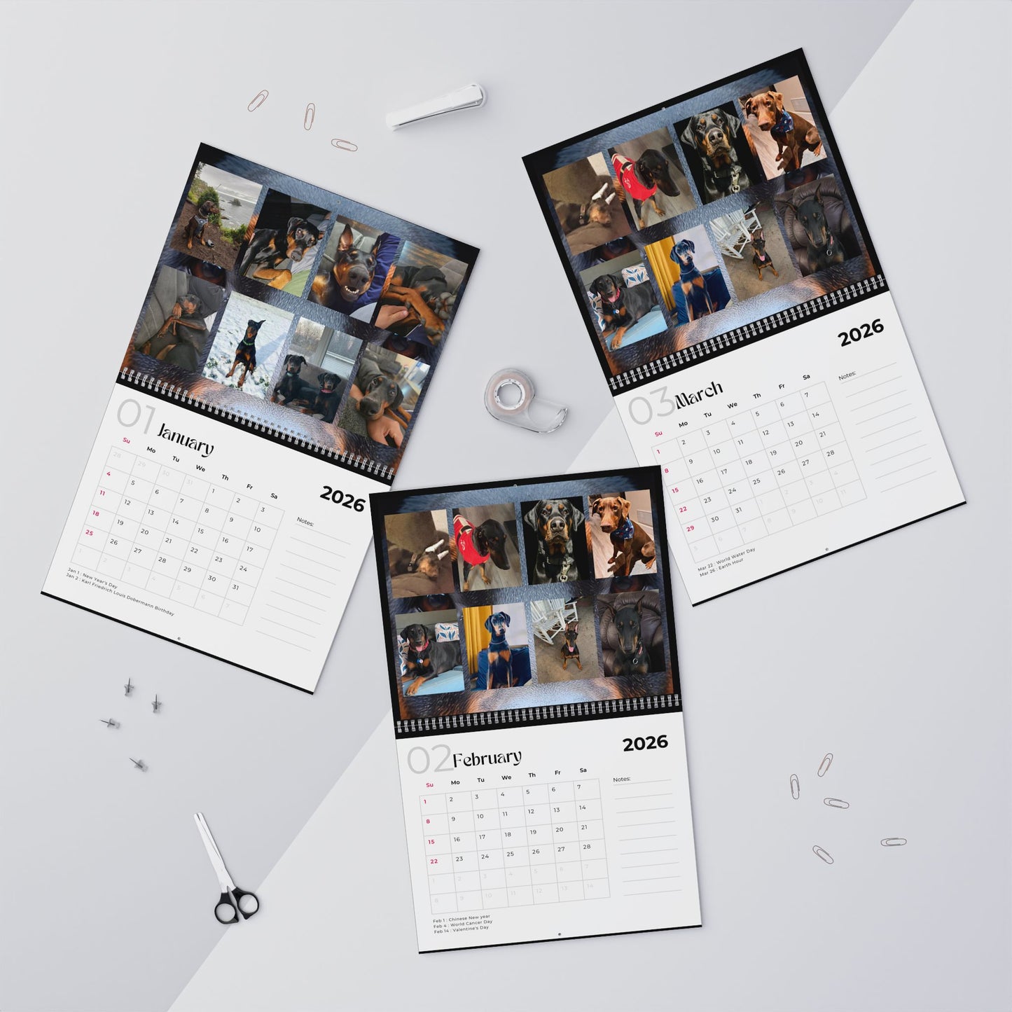 Edition 24 2026 Doberman Calendars