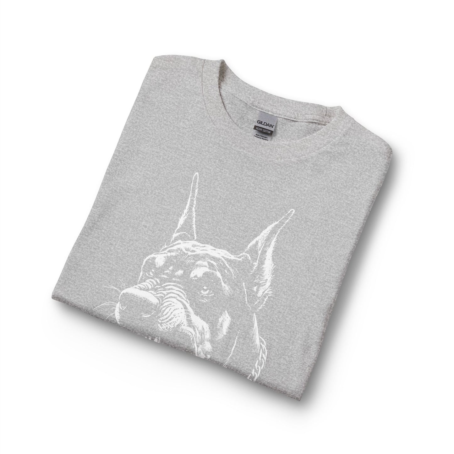 Protect 1  Long Sleeve Tee — Festive Doberman
