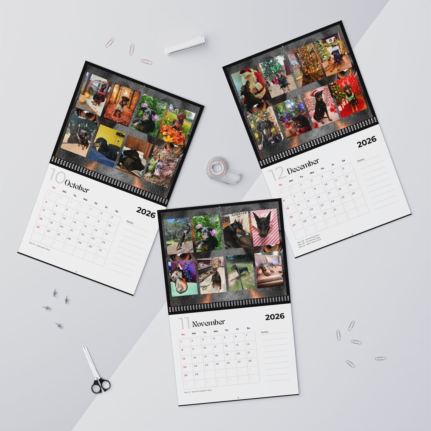 Edition 31 2026 Doberman Calendars