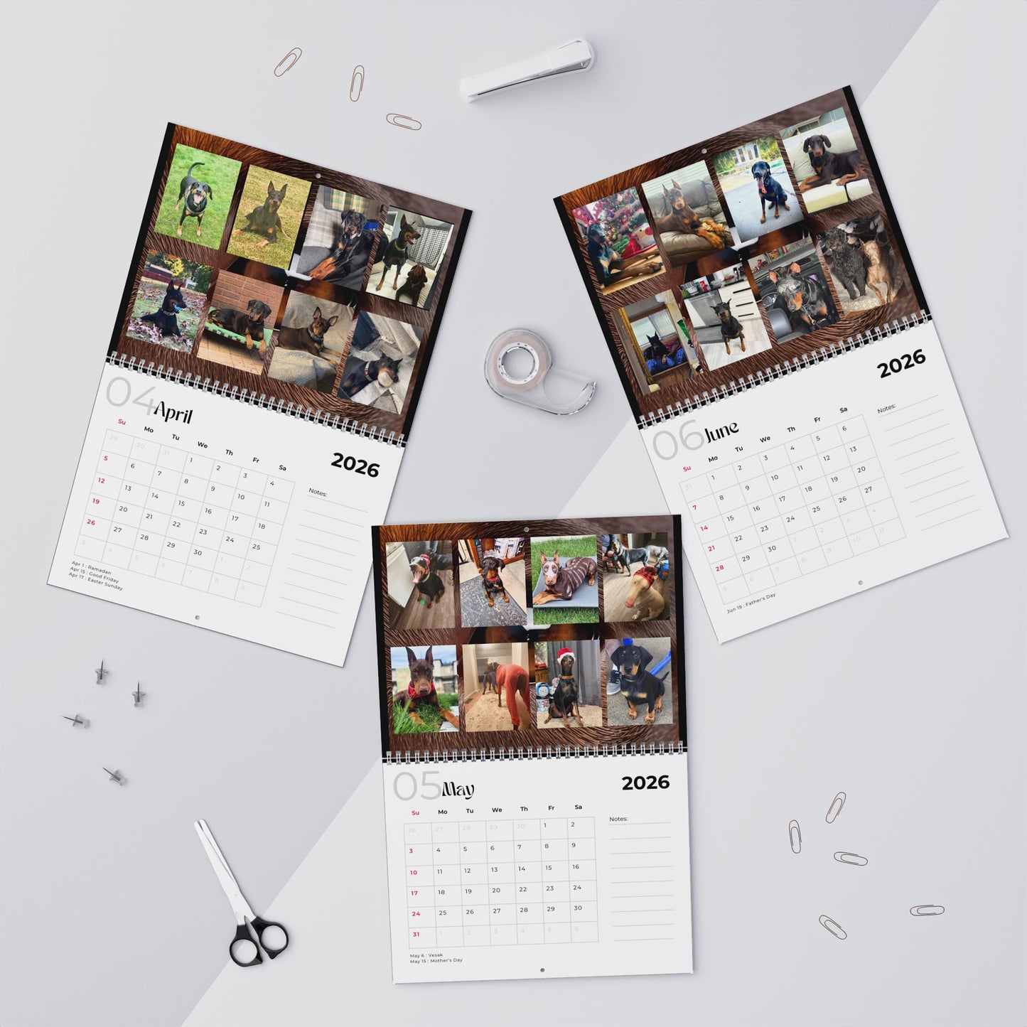 Edition 11 2026 Doberman Calendars