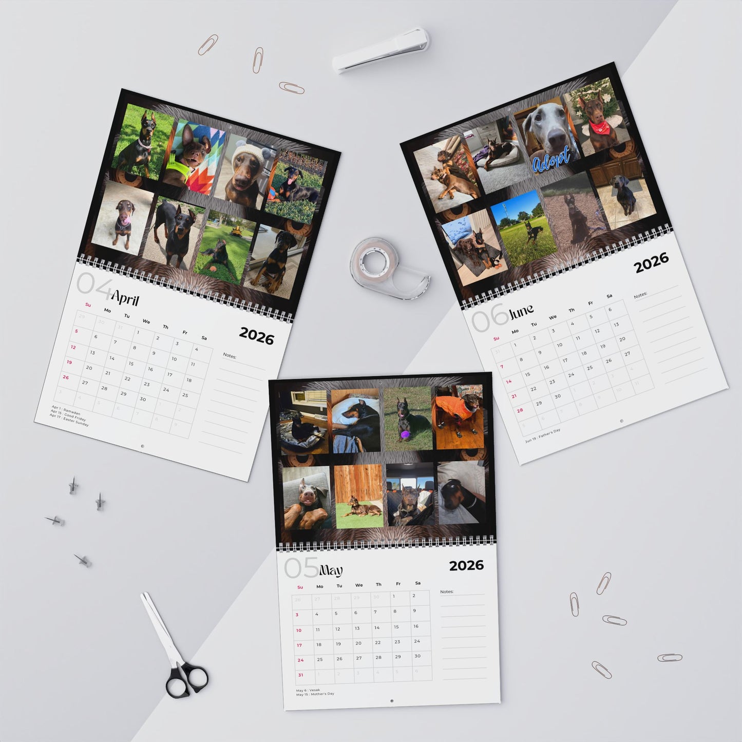Edition 35 2026 Doberman Calendars