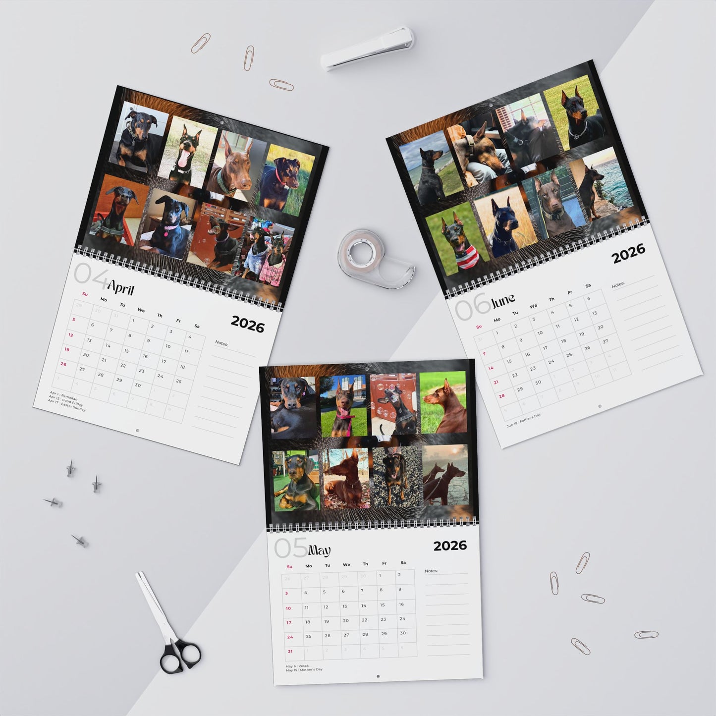 Edition 4 2026 Doberman Calendars