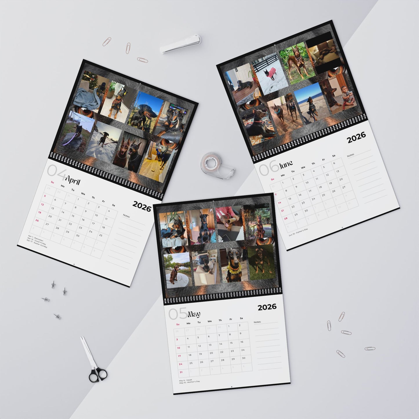 Edition 29 2026 Doberman Calendars