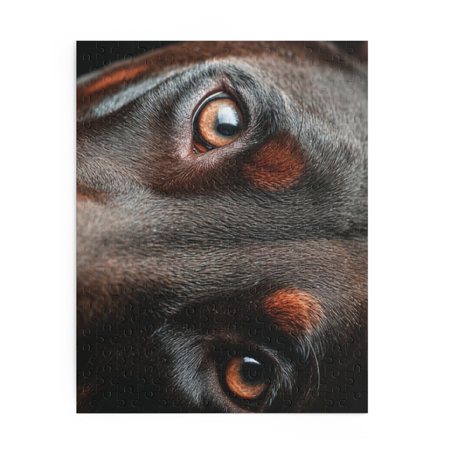 Human Mental Stimulation 5 Puzzle Black Lab Portrait Puzzle 1 Jigsaw (120/252/500 Pieces)