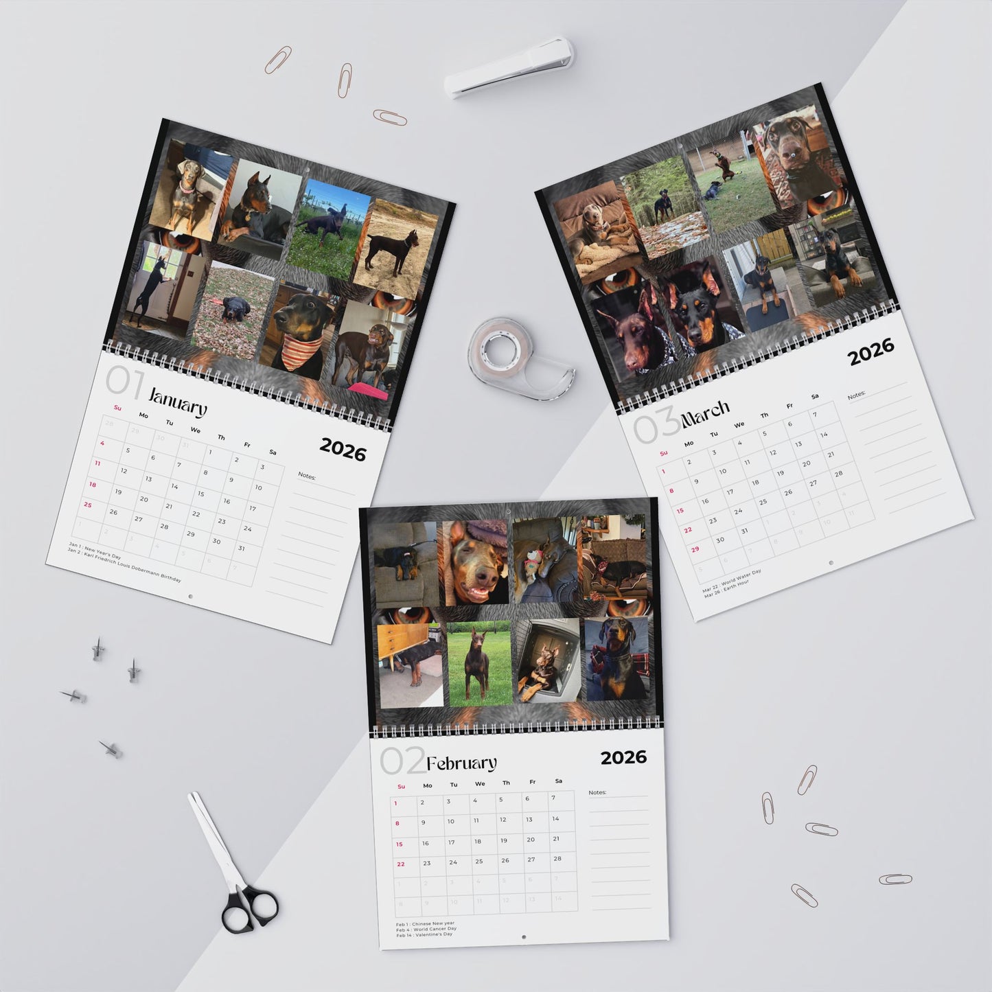 Edition 30 2026 Doberman Calendars