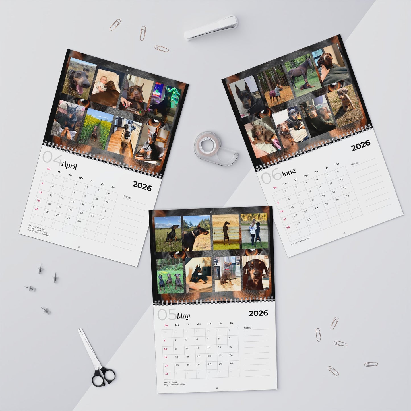 Edition 27 2026 Doberman Calendars
