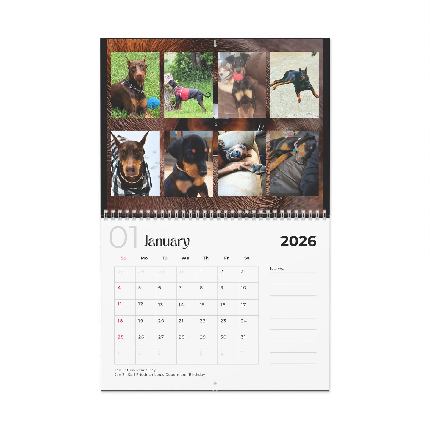 Edition 6 2026 Doberman Calendars