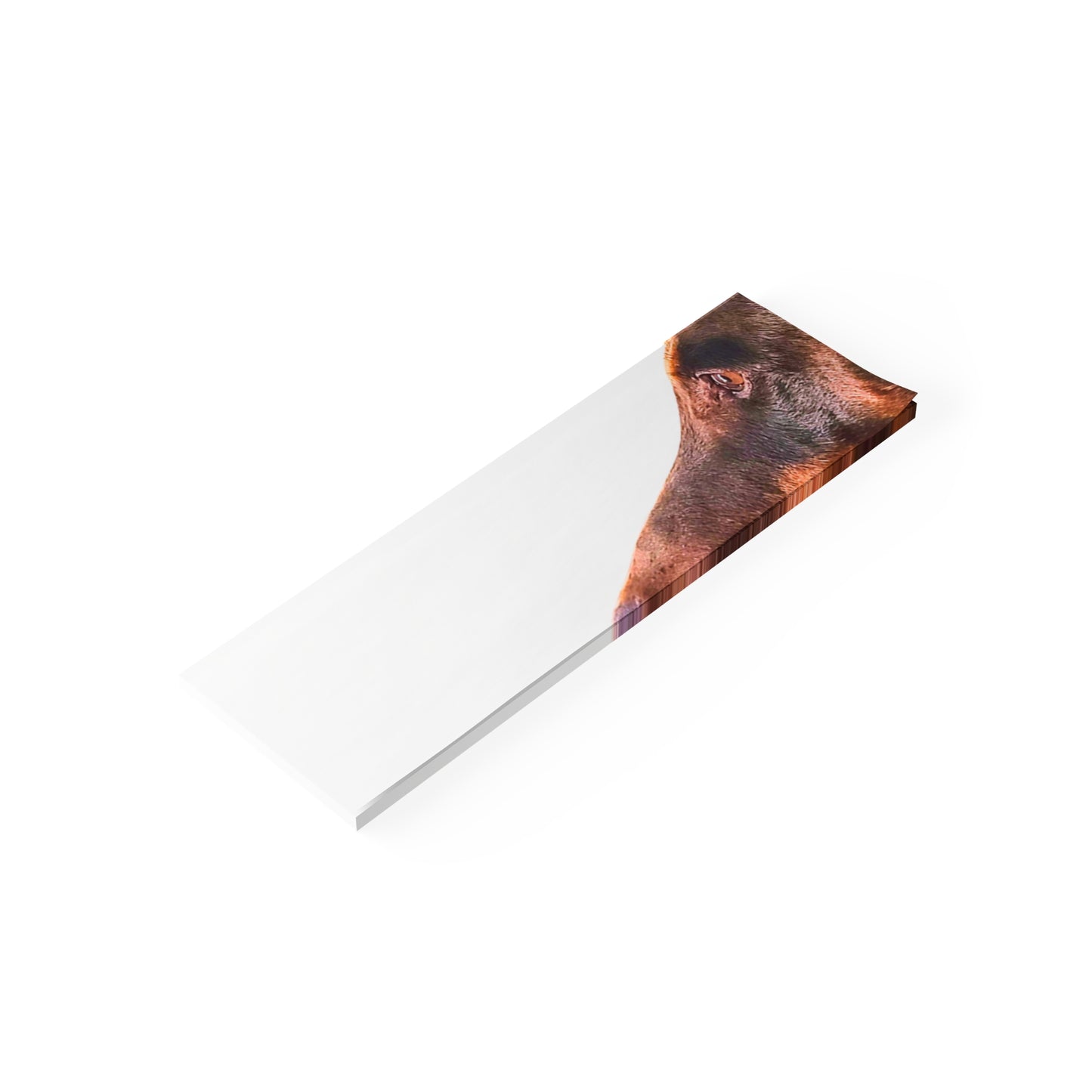 Custom Post-it Note Pads – Sticky Notes for Home & Office