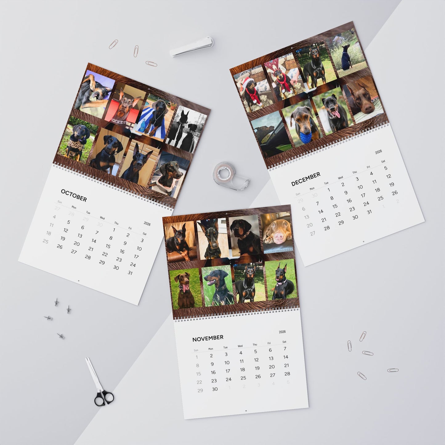 Doberman Edition 7  Wall Calendar 2026
