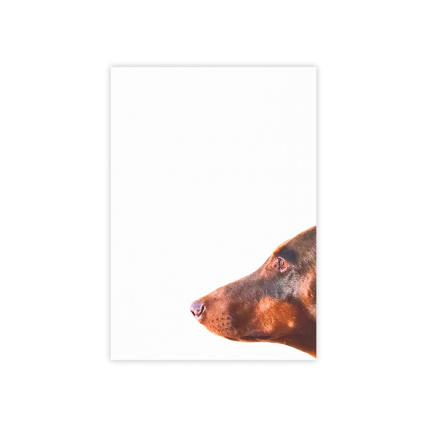 Custom Post-it Note Pads – Sticky Notes for Home & Office