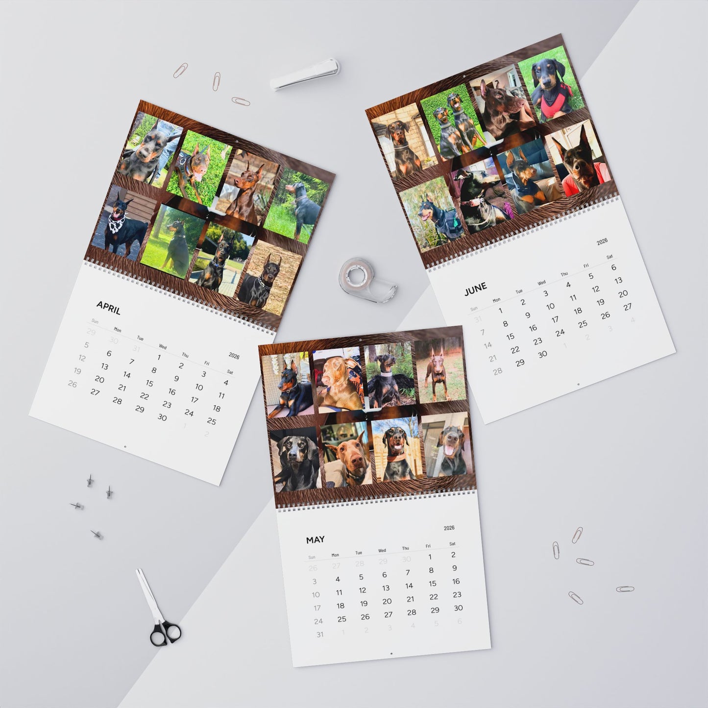 Doberman Edition 7  Wall Calendar 2026