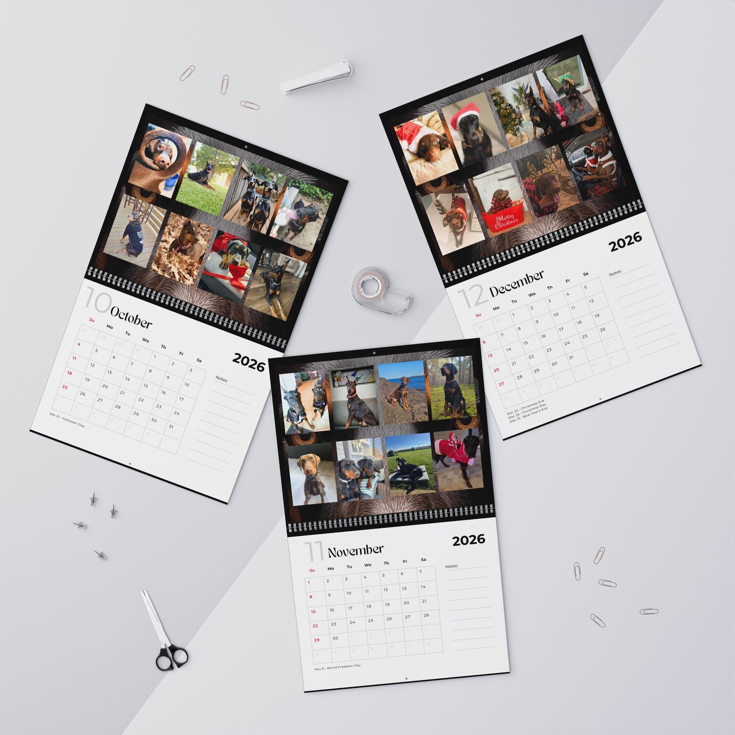 Edition 35 2026 Doberman Calendars
