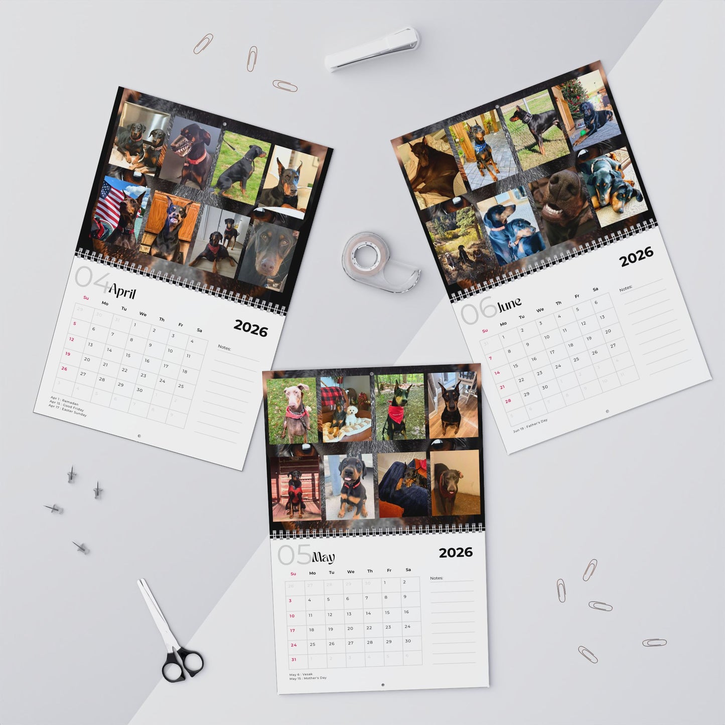 Edition 13 2026 Doberman Calendars