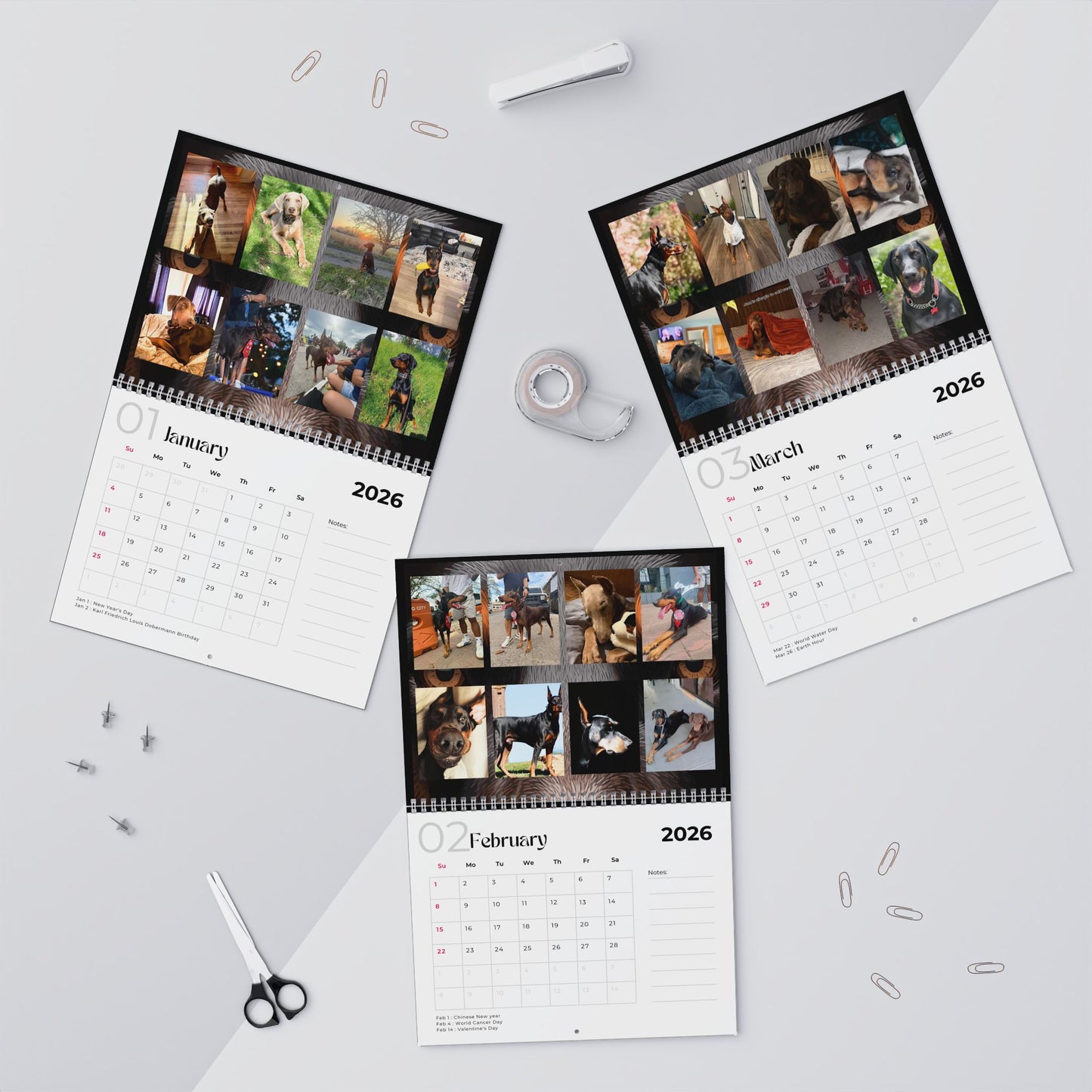 Edition 34 2026 Doberman Calendars
