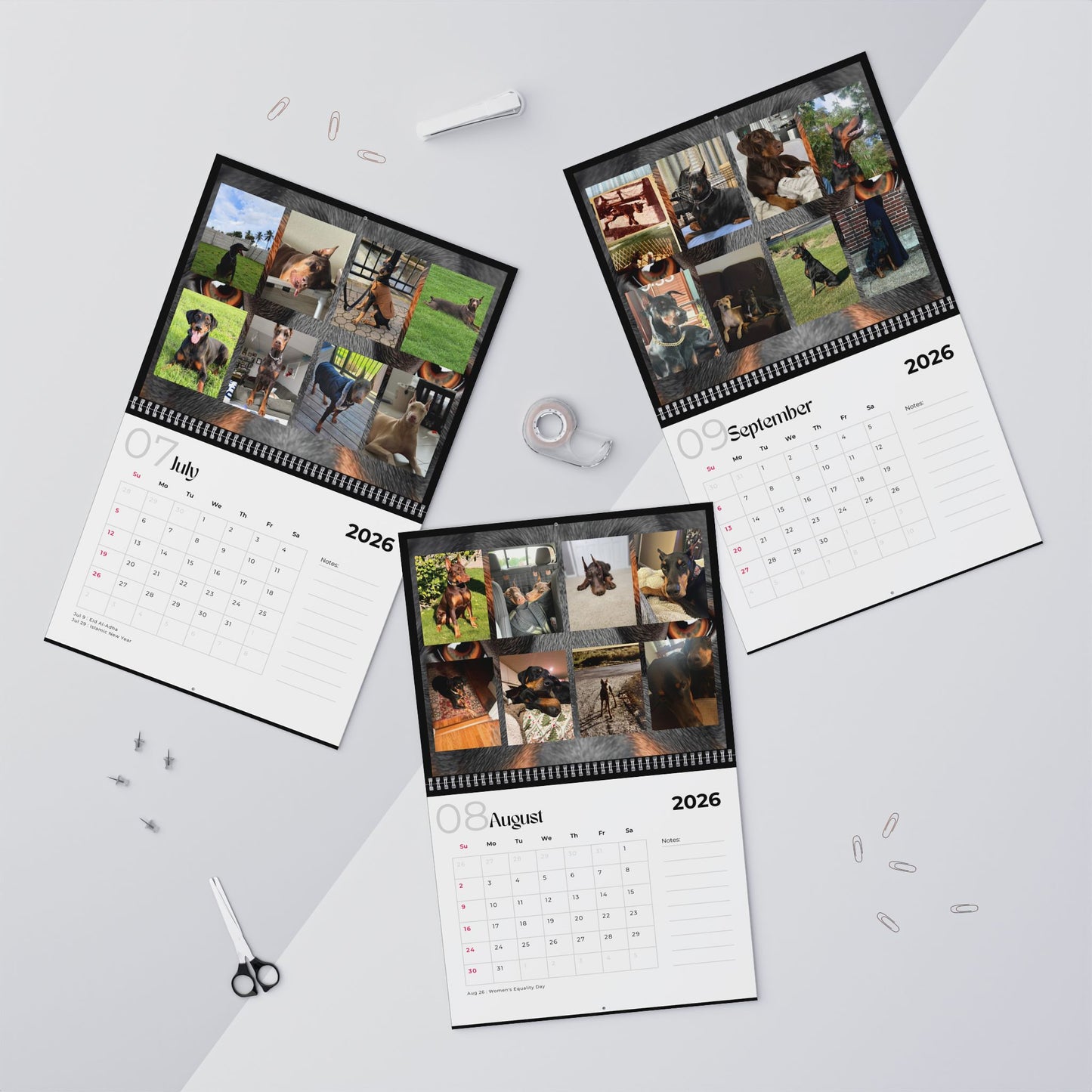 Edition 31 2026 Doberman Calendars
