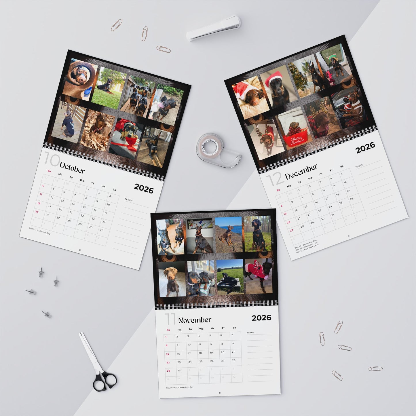 Edition 35 2026 Doberman Calendars