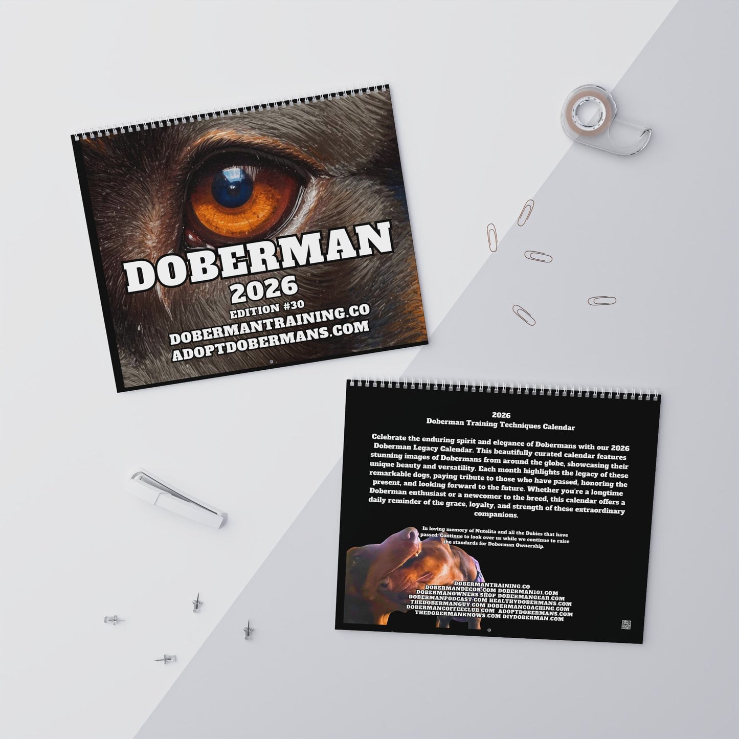 Edition 30 2026 Doberman Calendars
