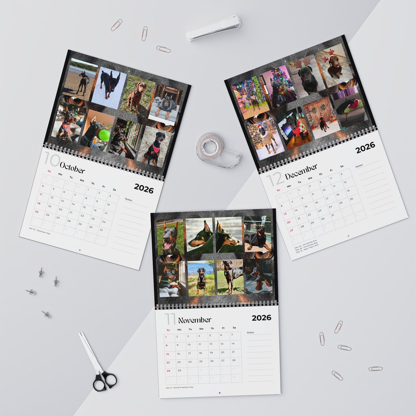 Edition 29 2026 Doberman Calendars