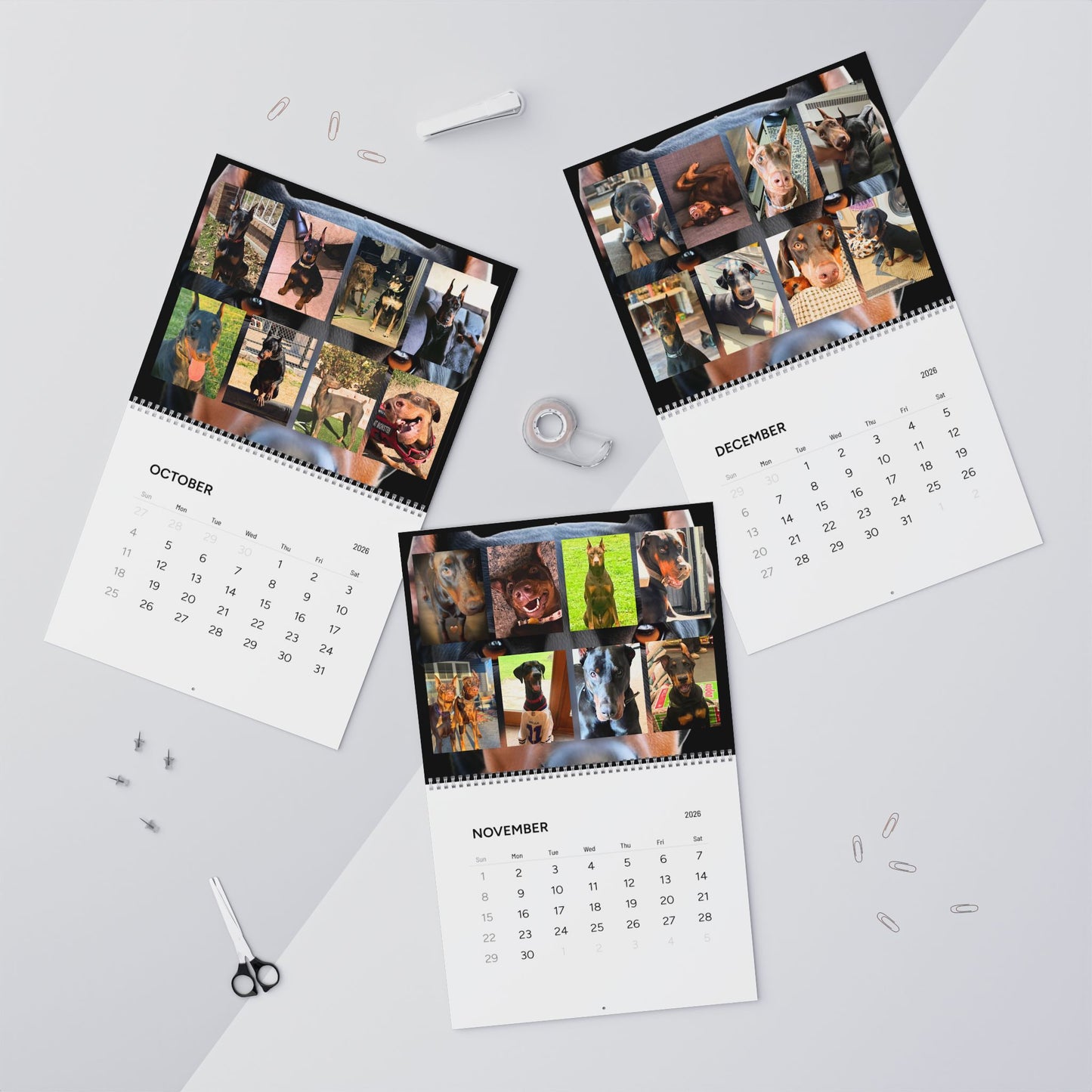 Doberman Edition 1 (International Shipping)Wall Calendar 2026