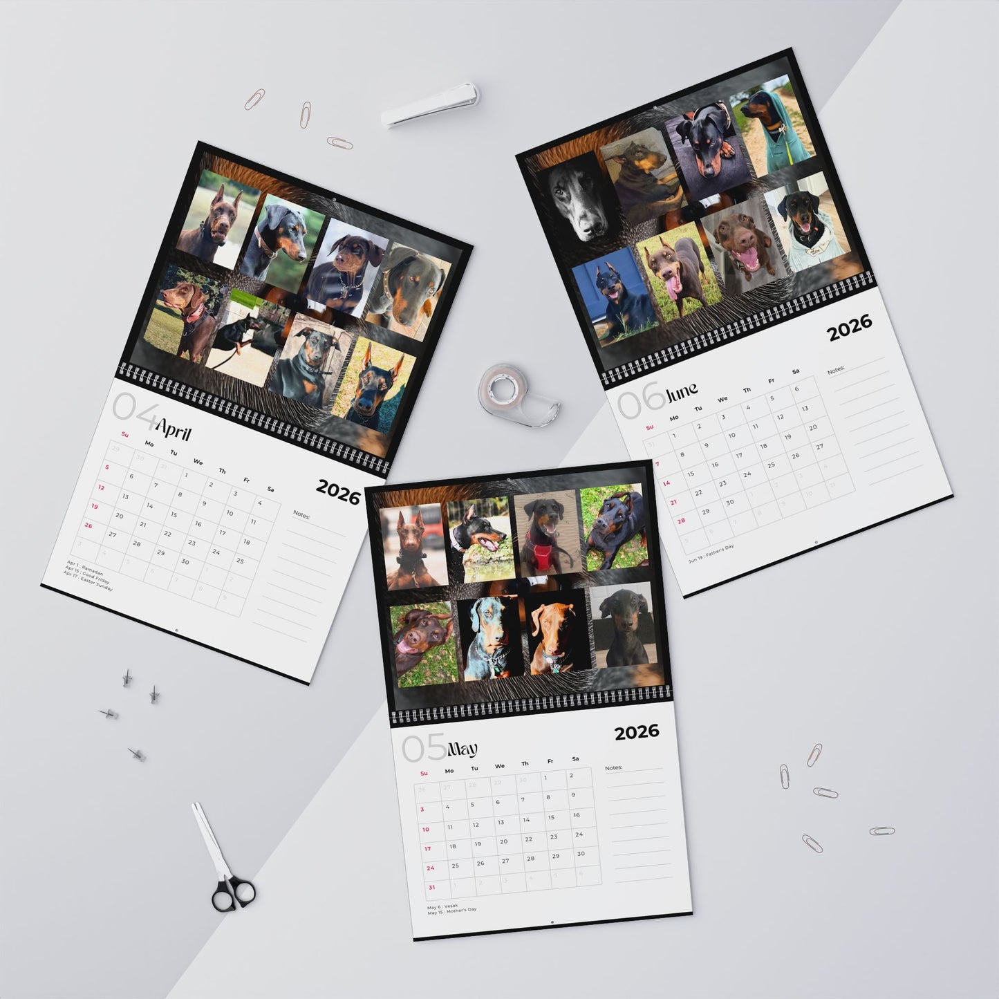 Edition 5 2026 Doberman Calendars