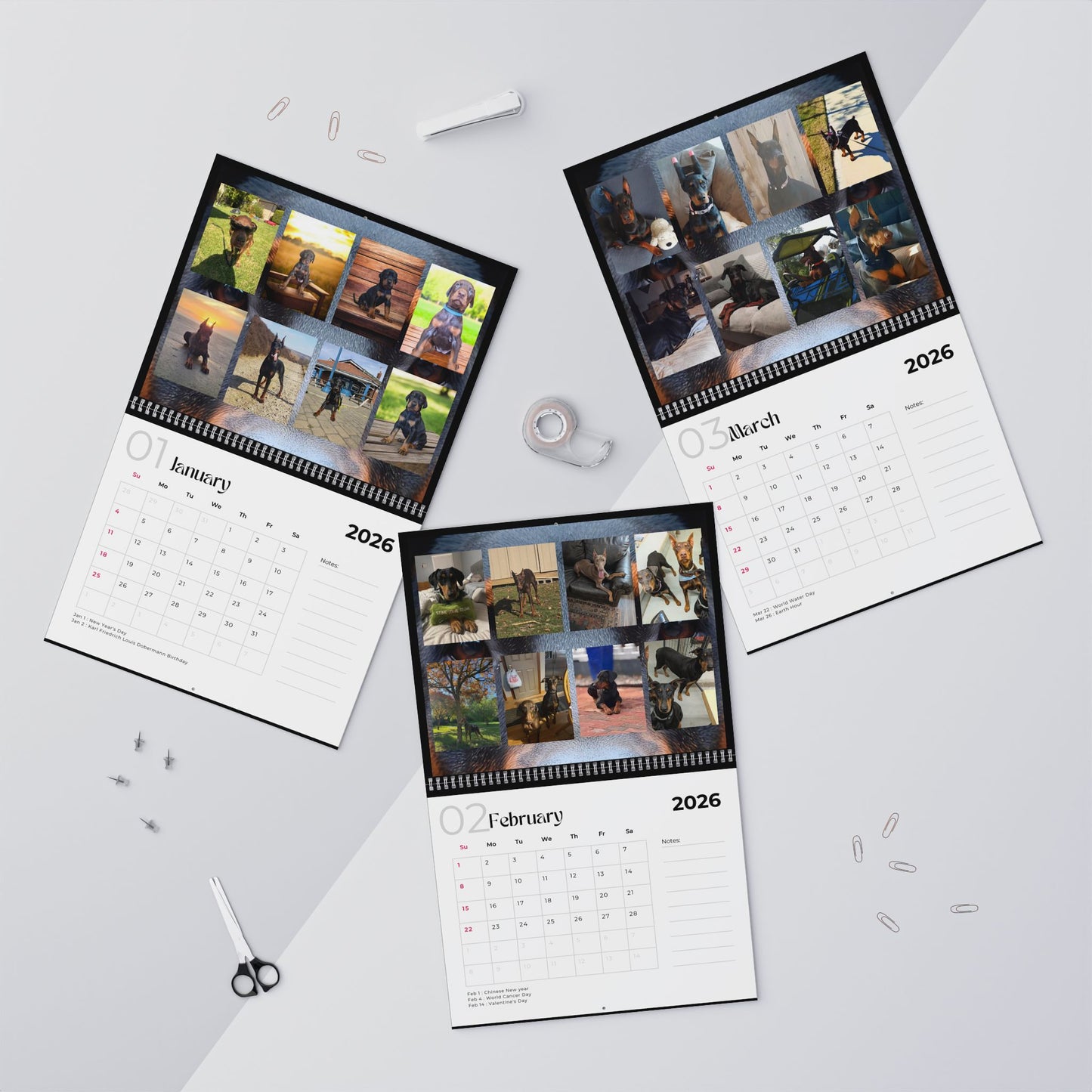 Edition 20 2026 Doberman Calendars
