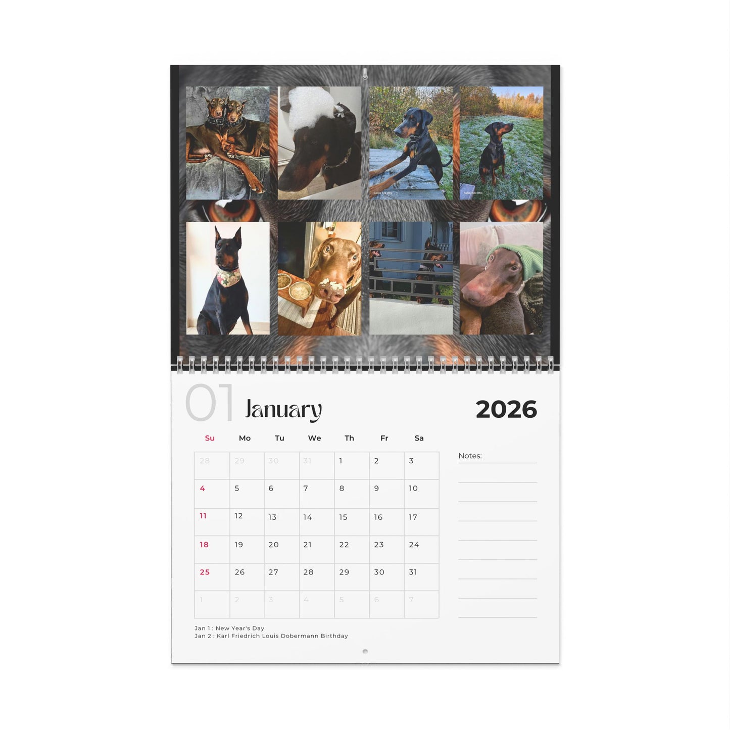 Edition 29 2026 Doberman Calendars
