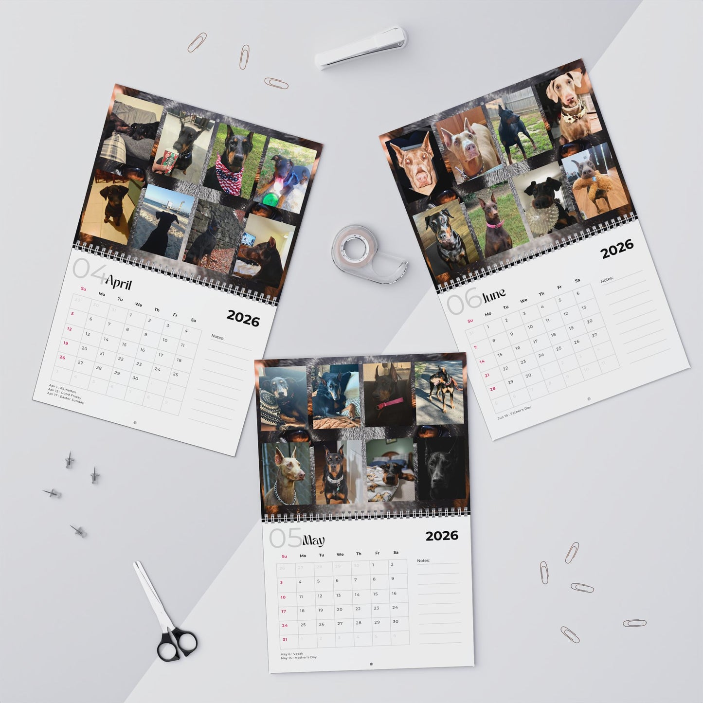 Edition 15 2026 Doberman Calendars