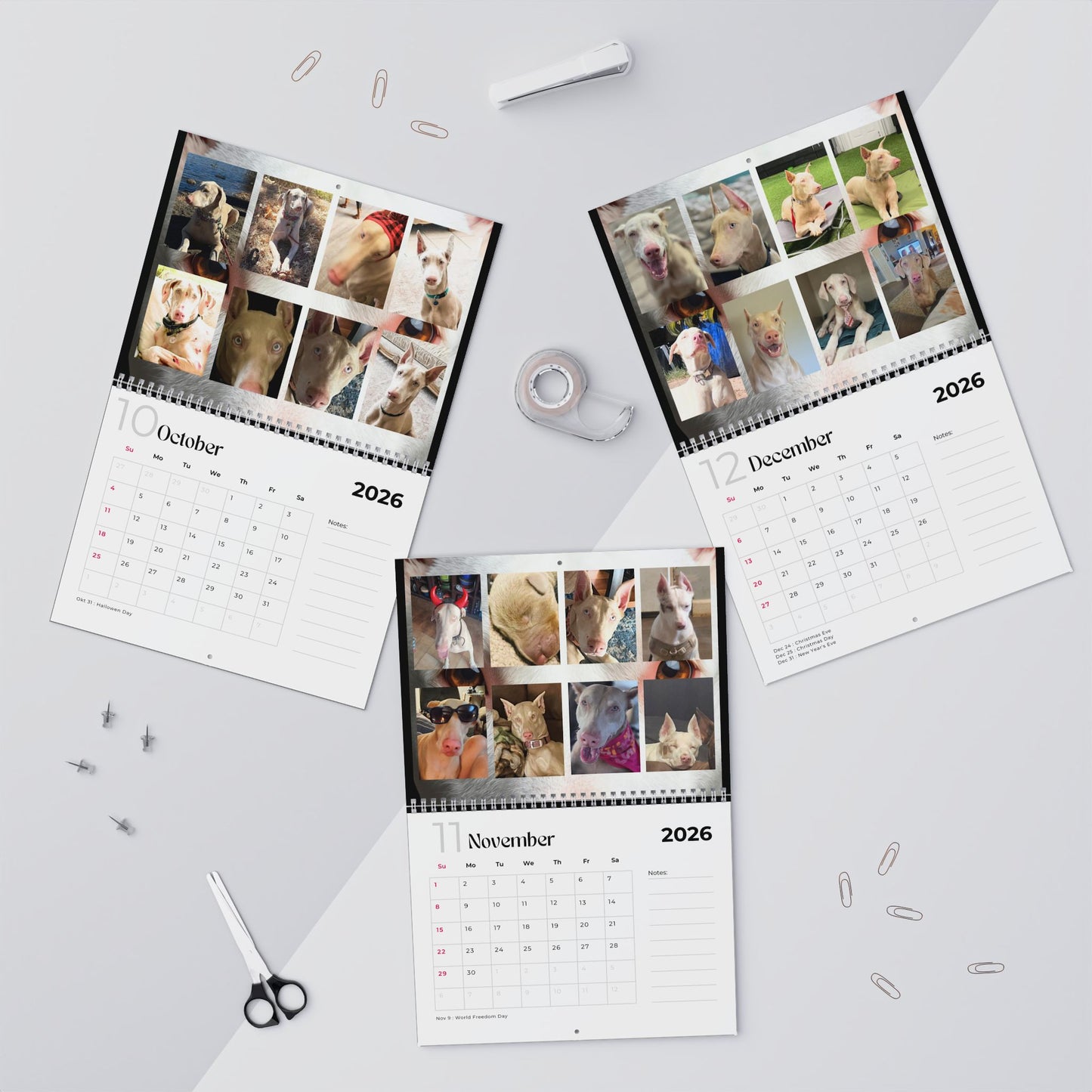 Edition 25 2026 Doberman Calendars