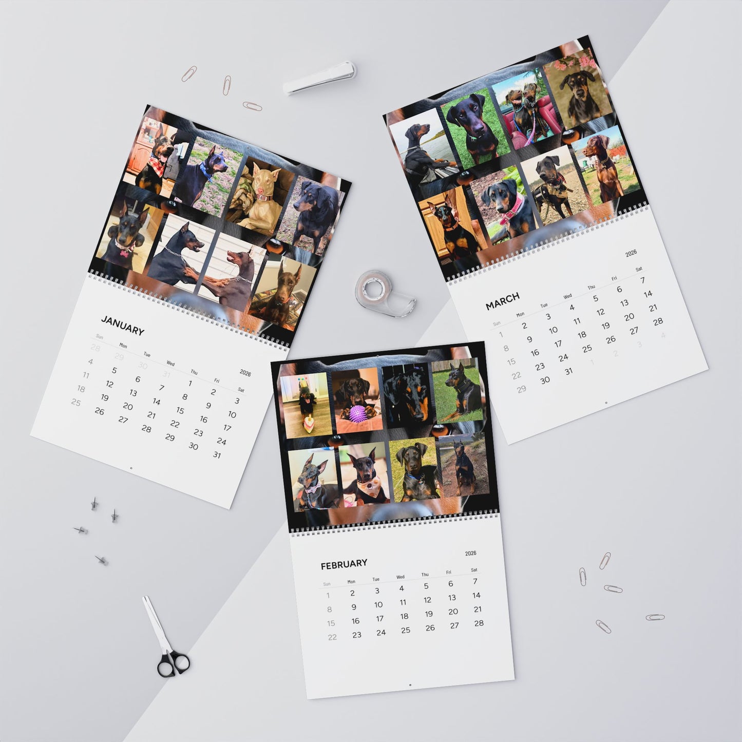 Doberman Edition 1 (International Shipping)Wall Calendar 2026