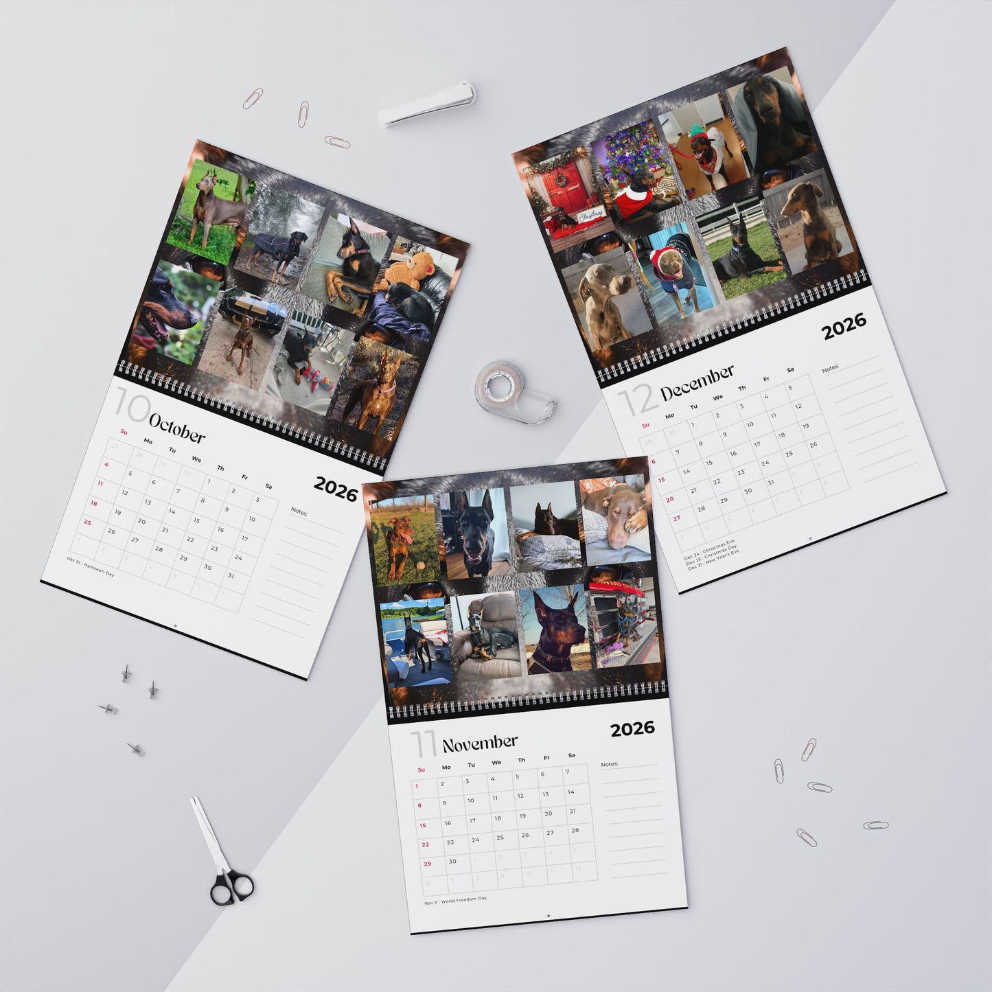 Edition 17 2026 Doberman Calendars