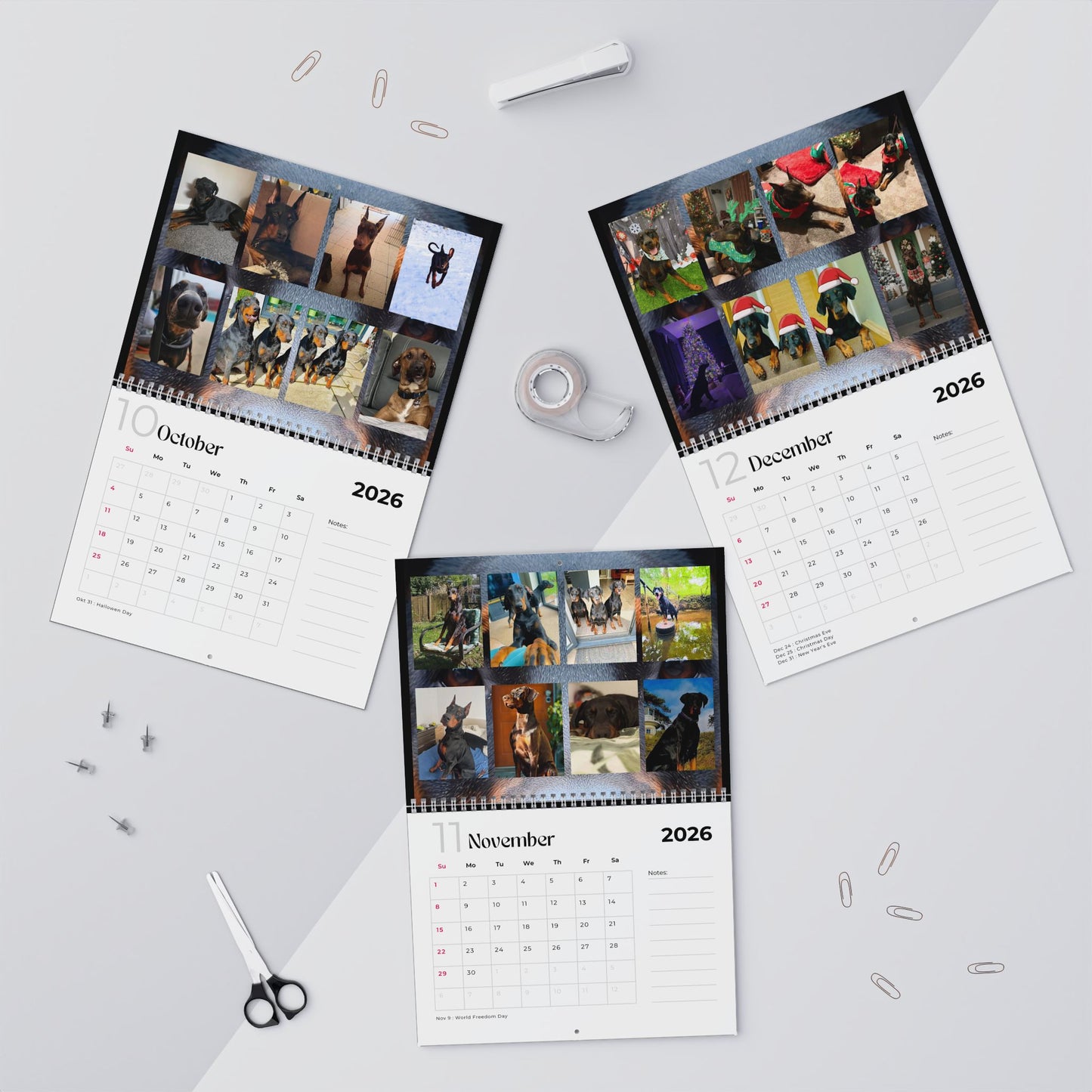 Edition 20 2026 Doberman Calendars