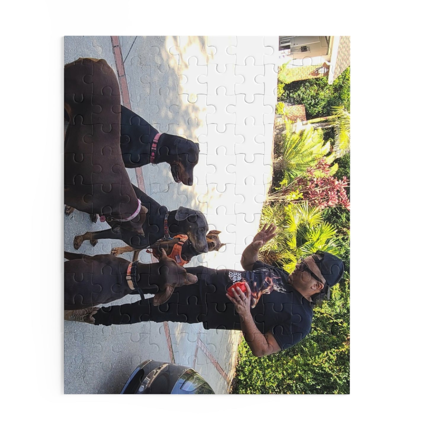 Personalized Photo Puzzle (120/252/500-Piece)