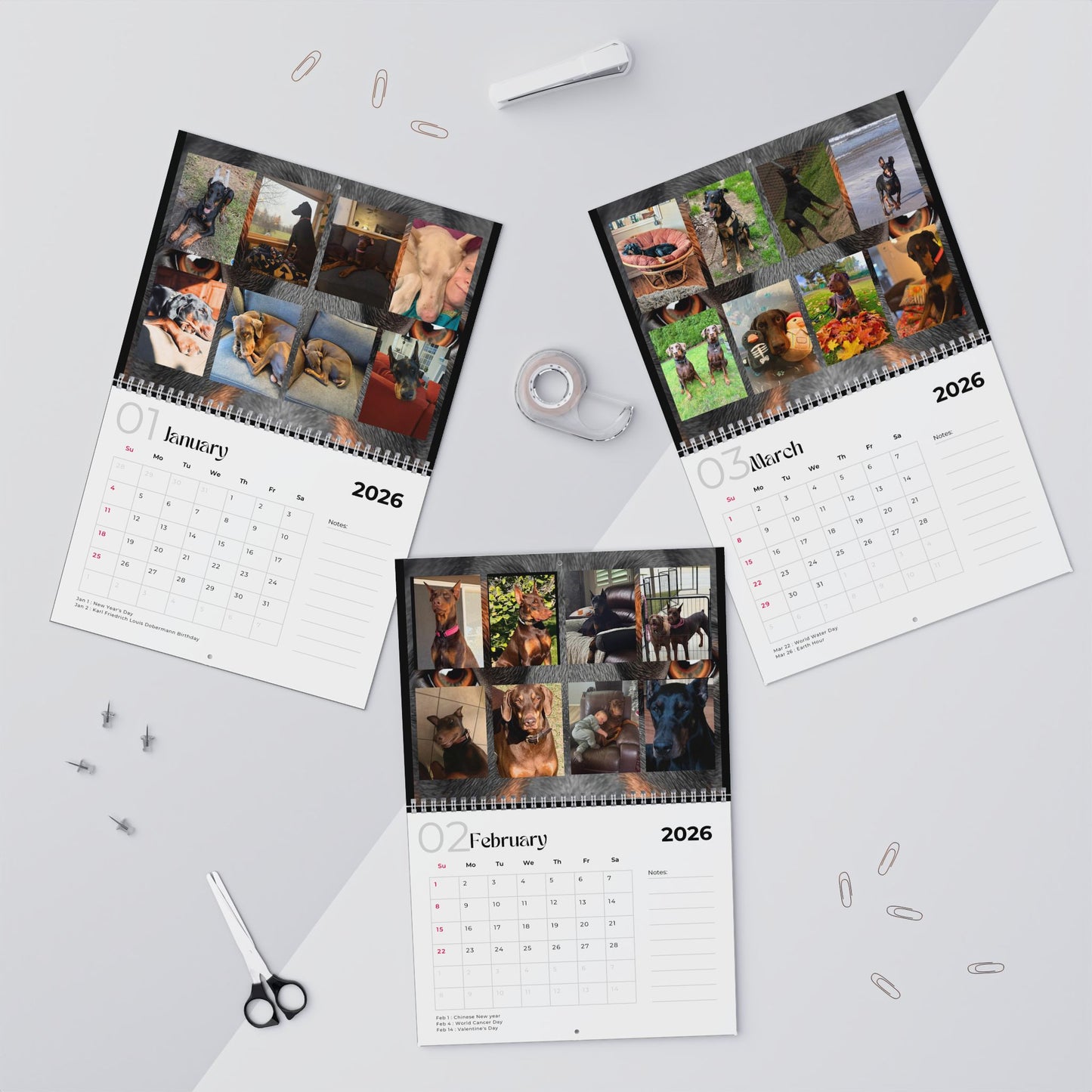 Edition 31 2026 Doberman Calendars