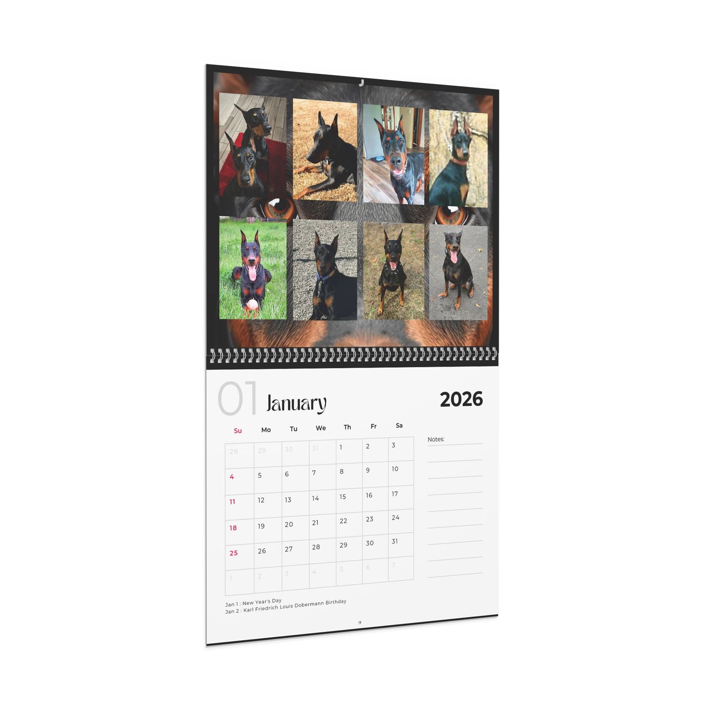 Edition 26 2026 Doberman Calendars