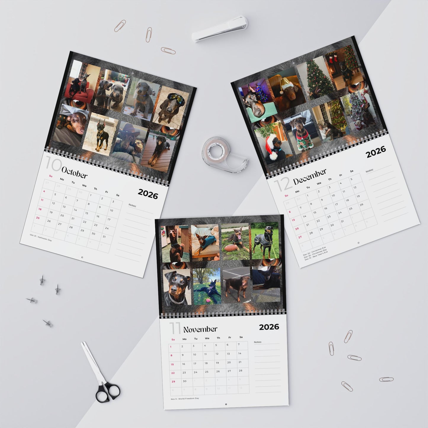 Edition 32 2026 Doberman Calendars