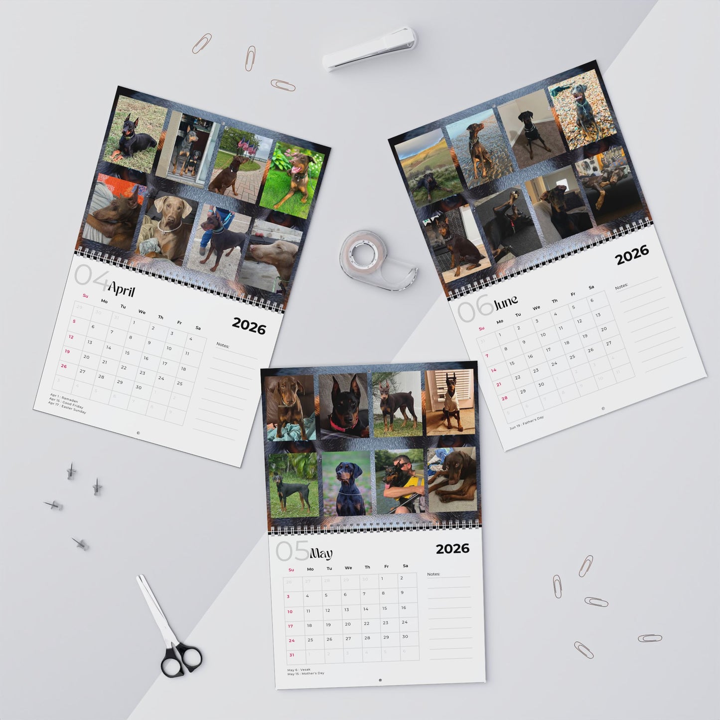 Edition 21 2026 Doberman Calendars