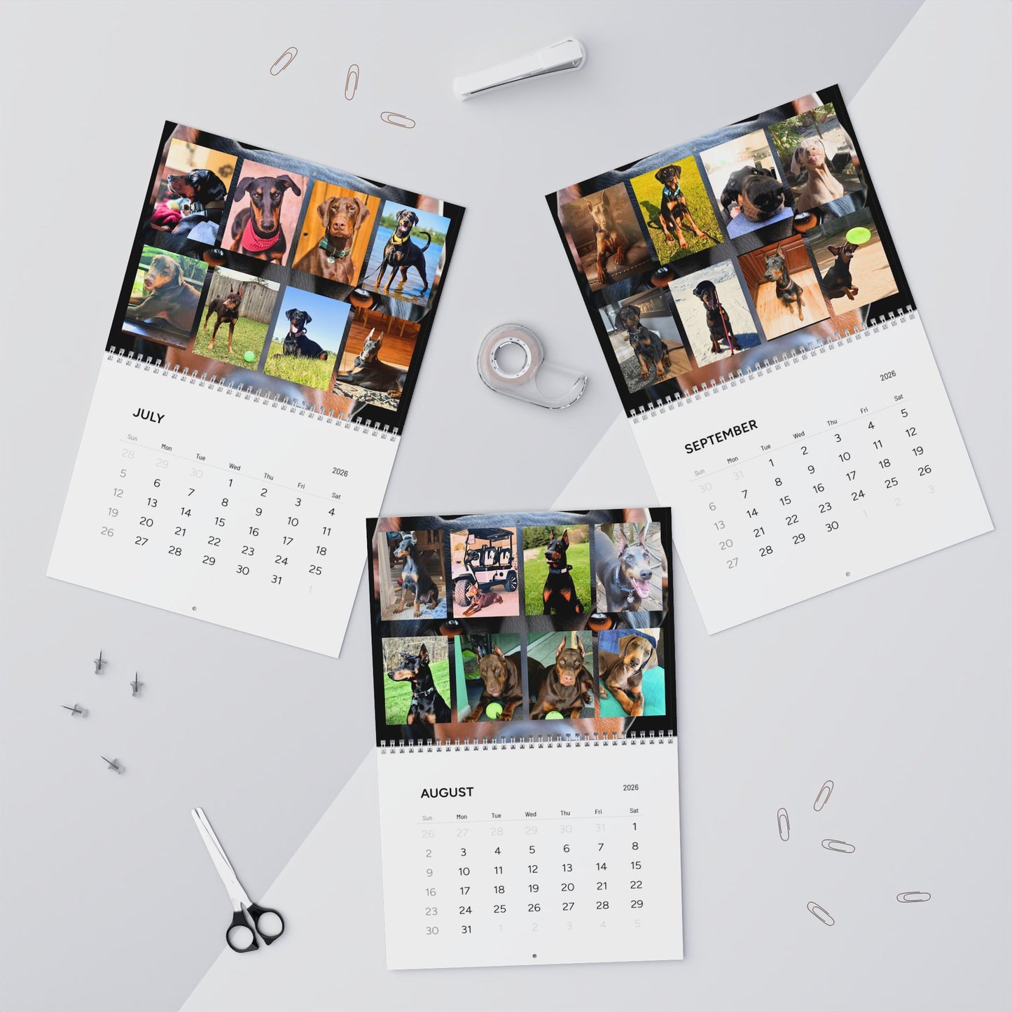 Doberman Edition 1 (International Shipping)Wall Calendar 2026