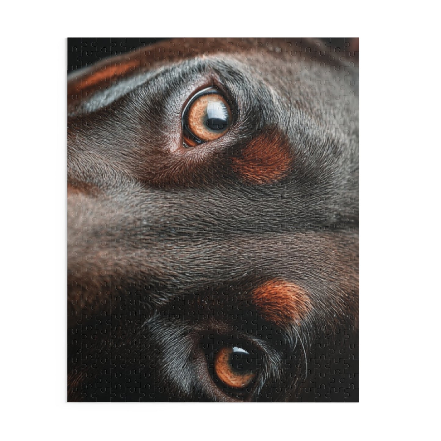 Human Mental Stimulation 5 Puzzle Black Lab Portrait Puzzle 1 Jigsaw (120/252/500 Pieces)